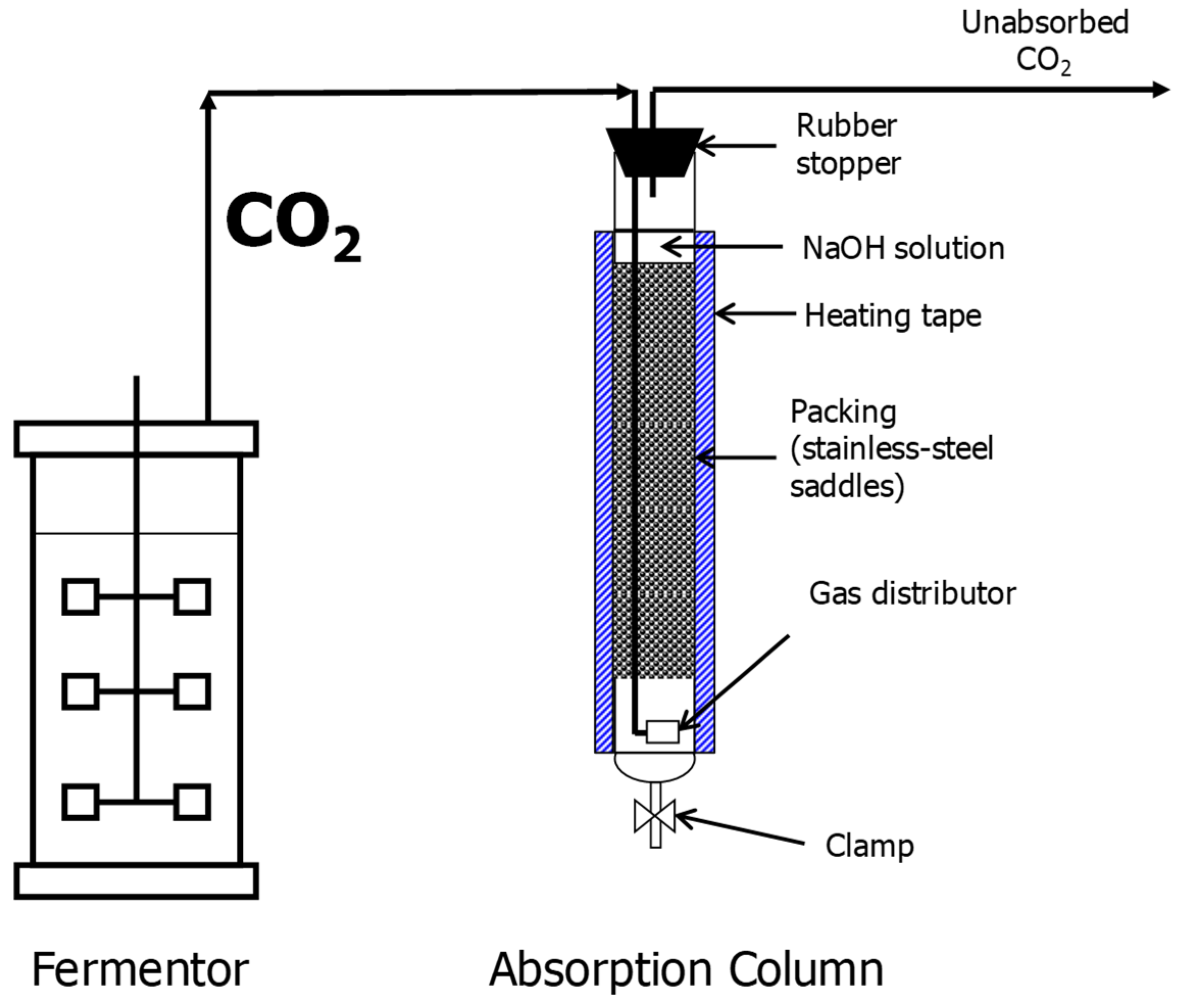 Fermentation 05 00091 g001