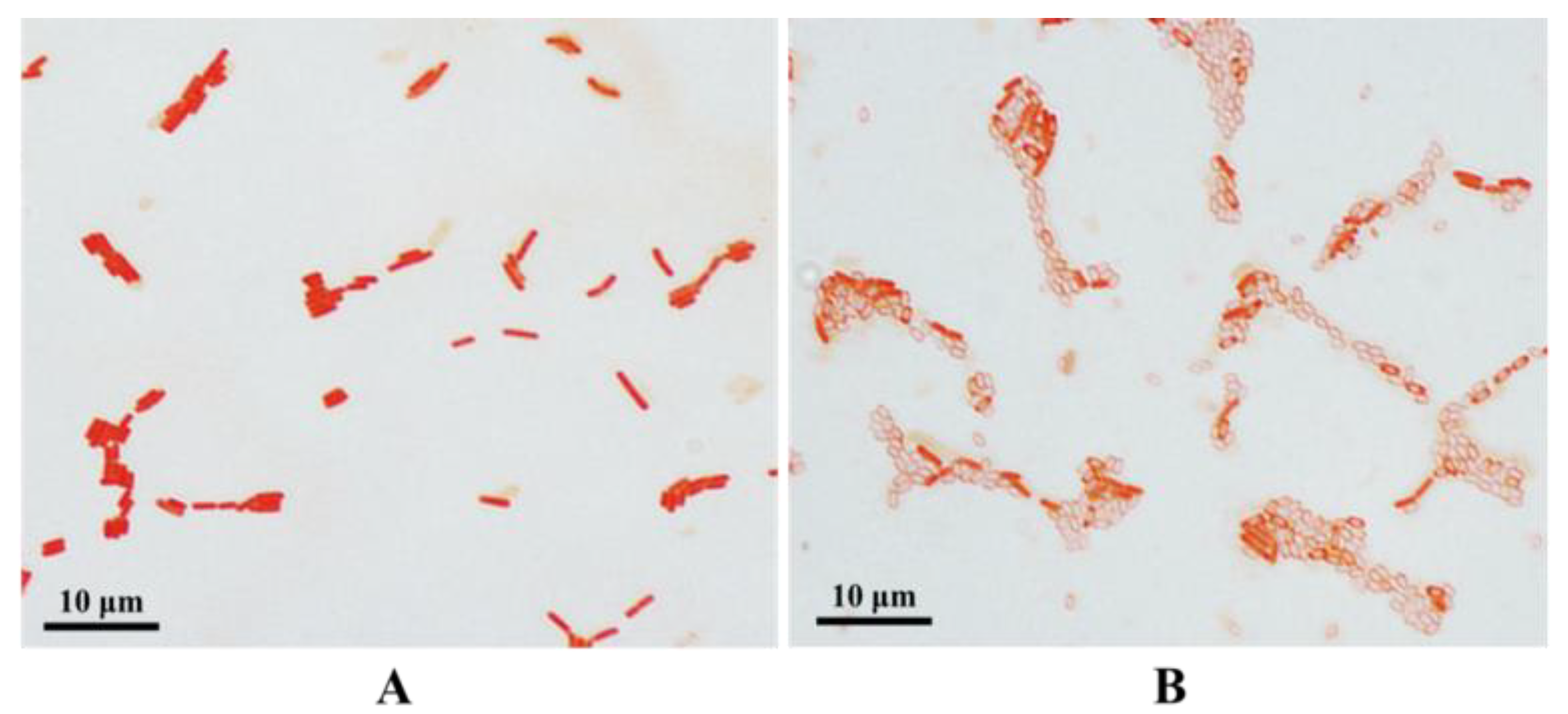 Fermentation 05 00092 g002
