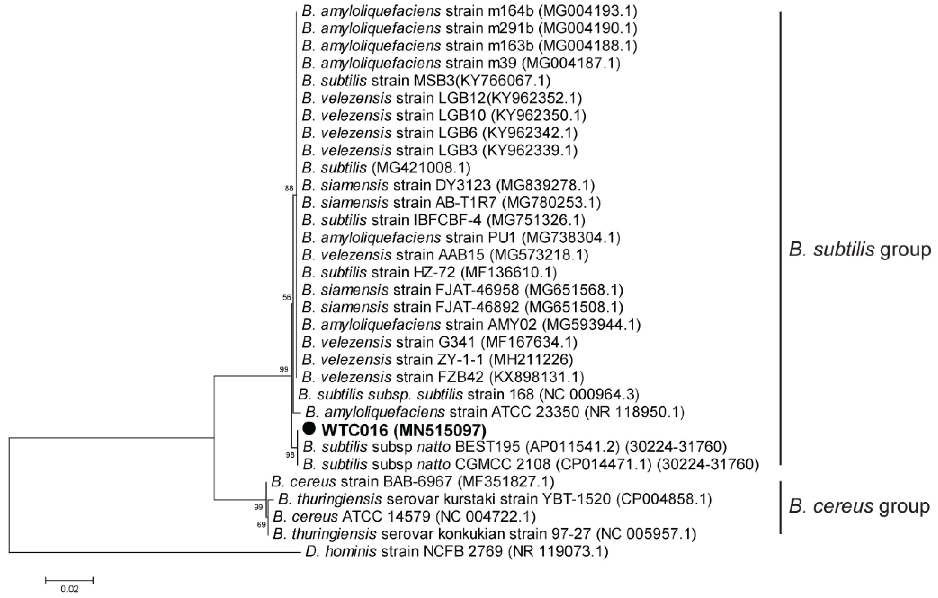 Fermentation 05 00092 g003