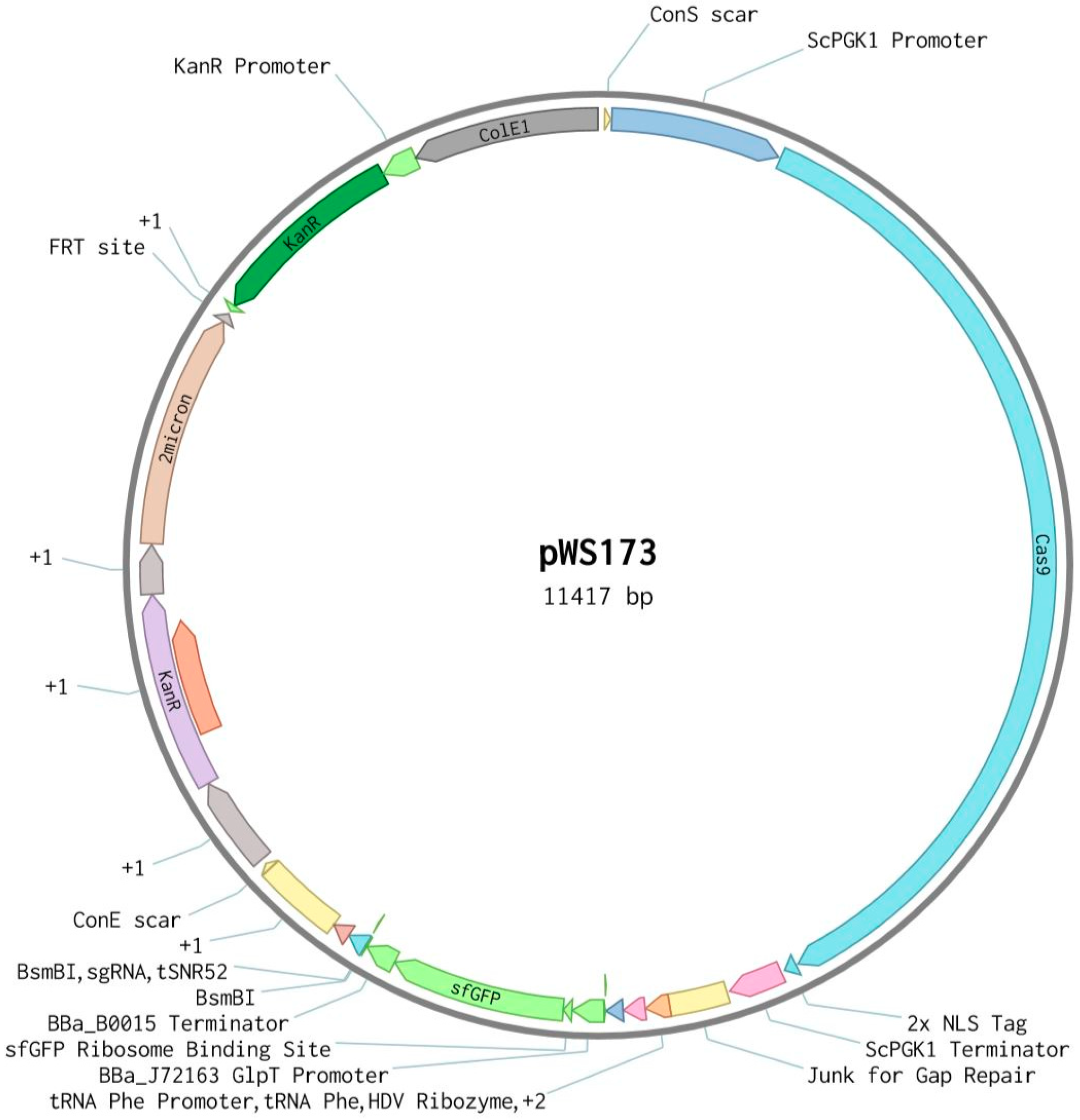 chromatogram viewer benchling chromatogram viewer benchling