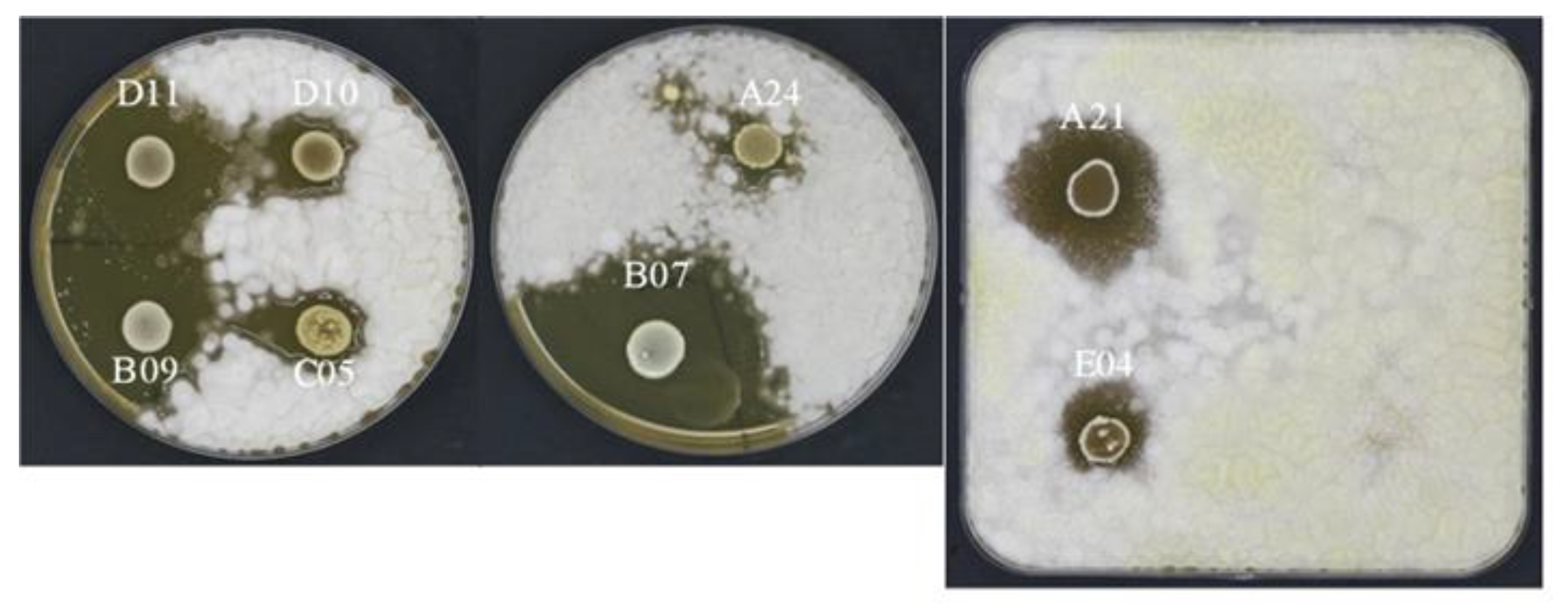 Fermentation 05 00097 g005