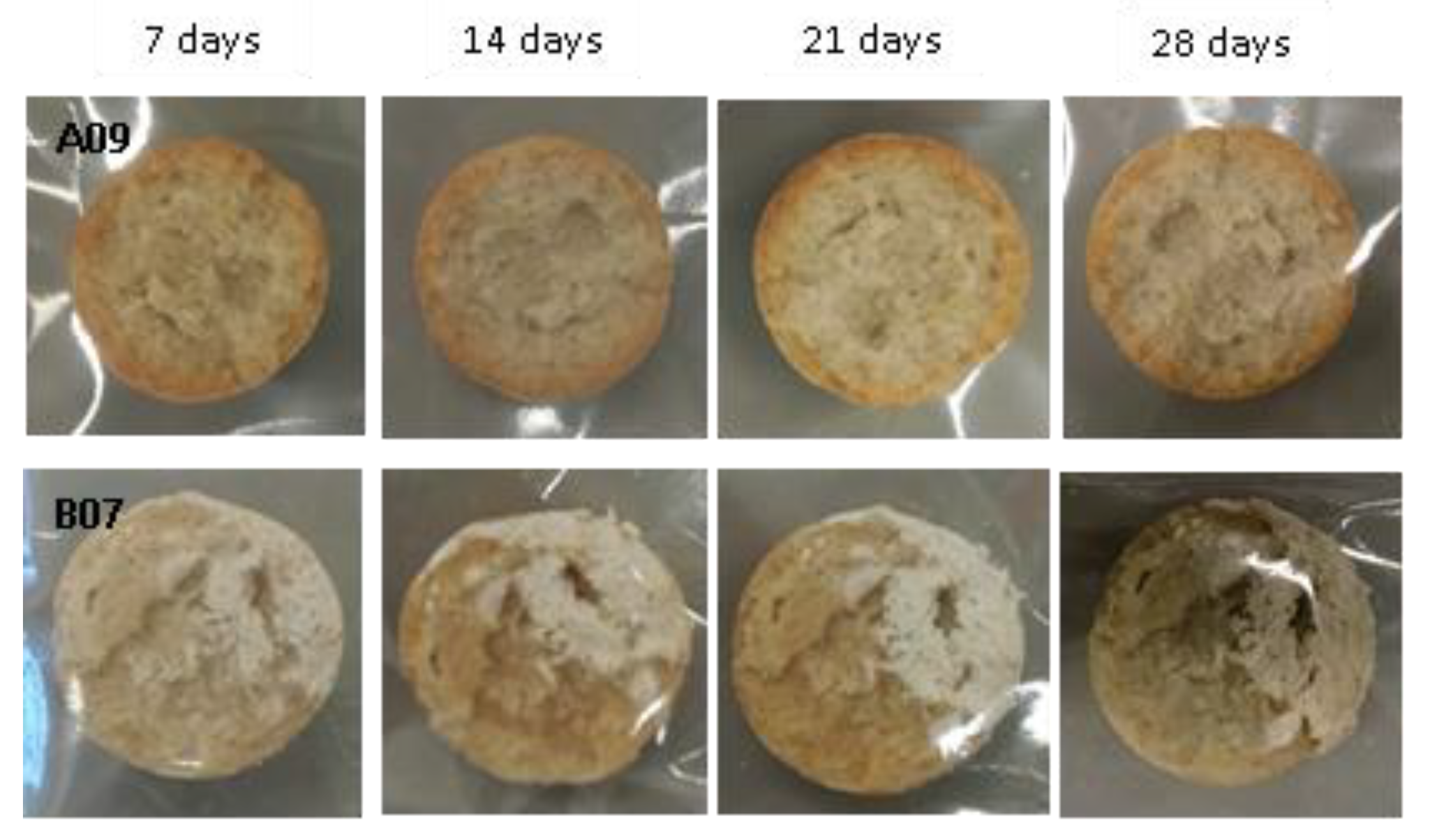 Fermentation 05 00097 g006