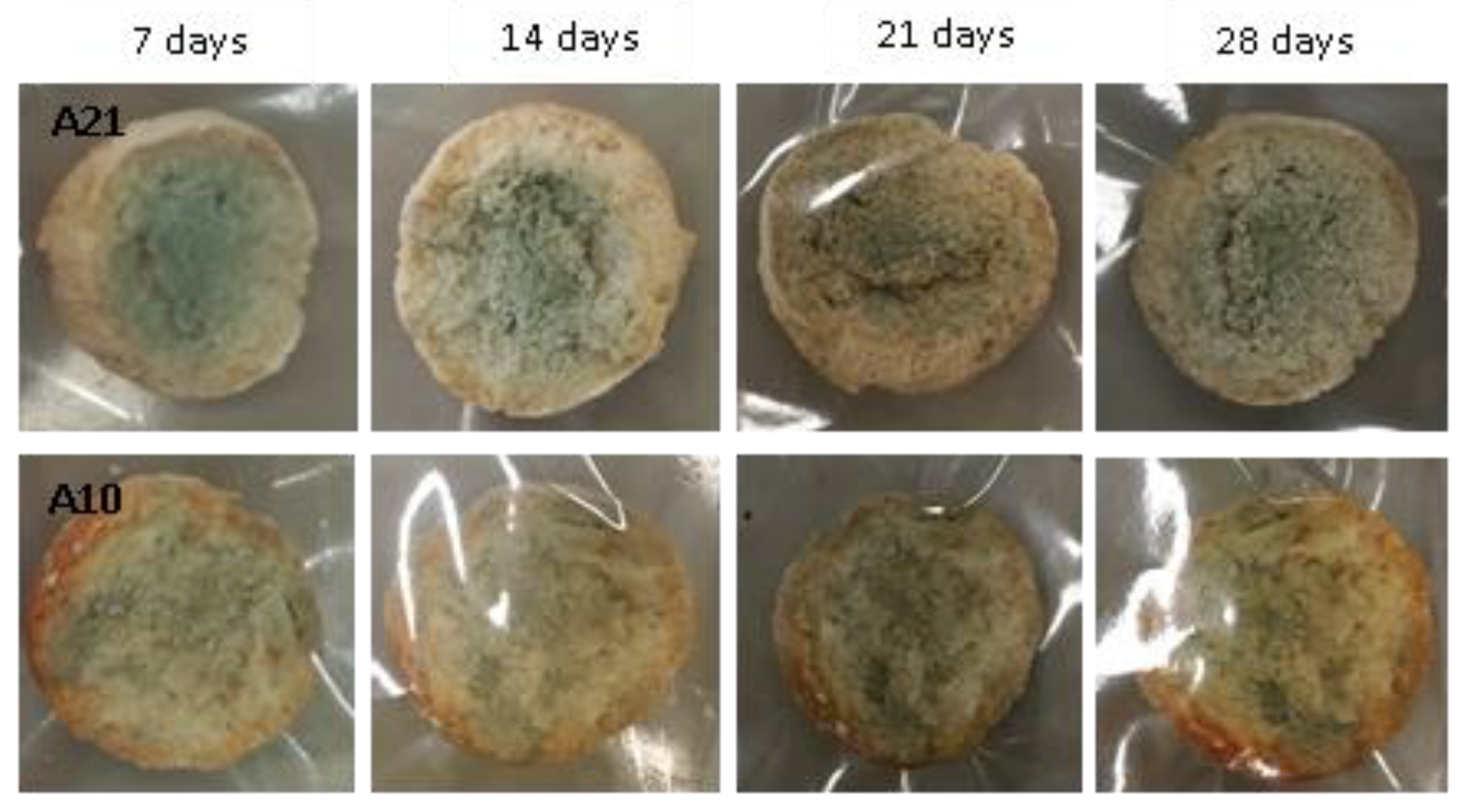 Fermentation 05 00097 g012