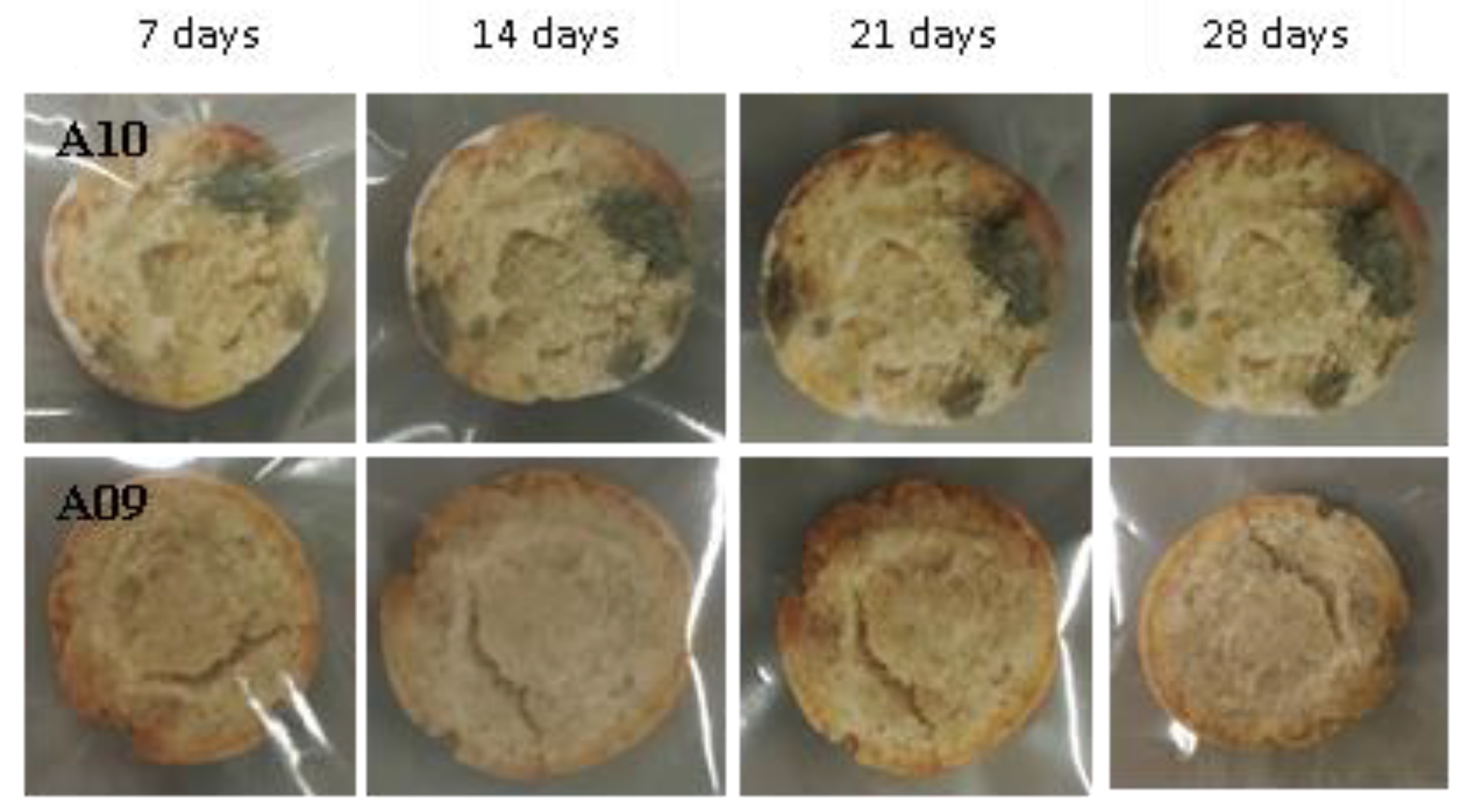 Fermentation 05 00097 g014