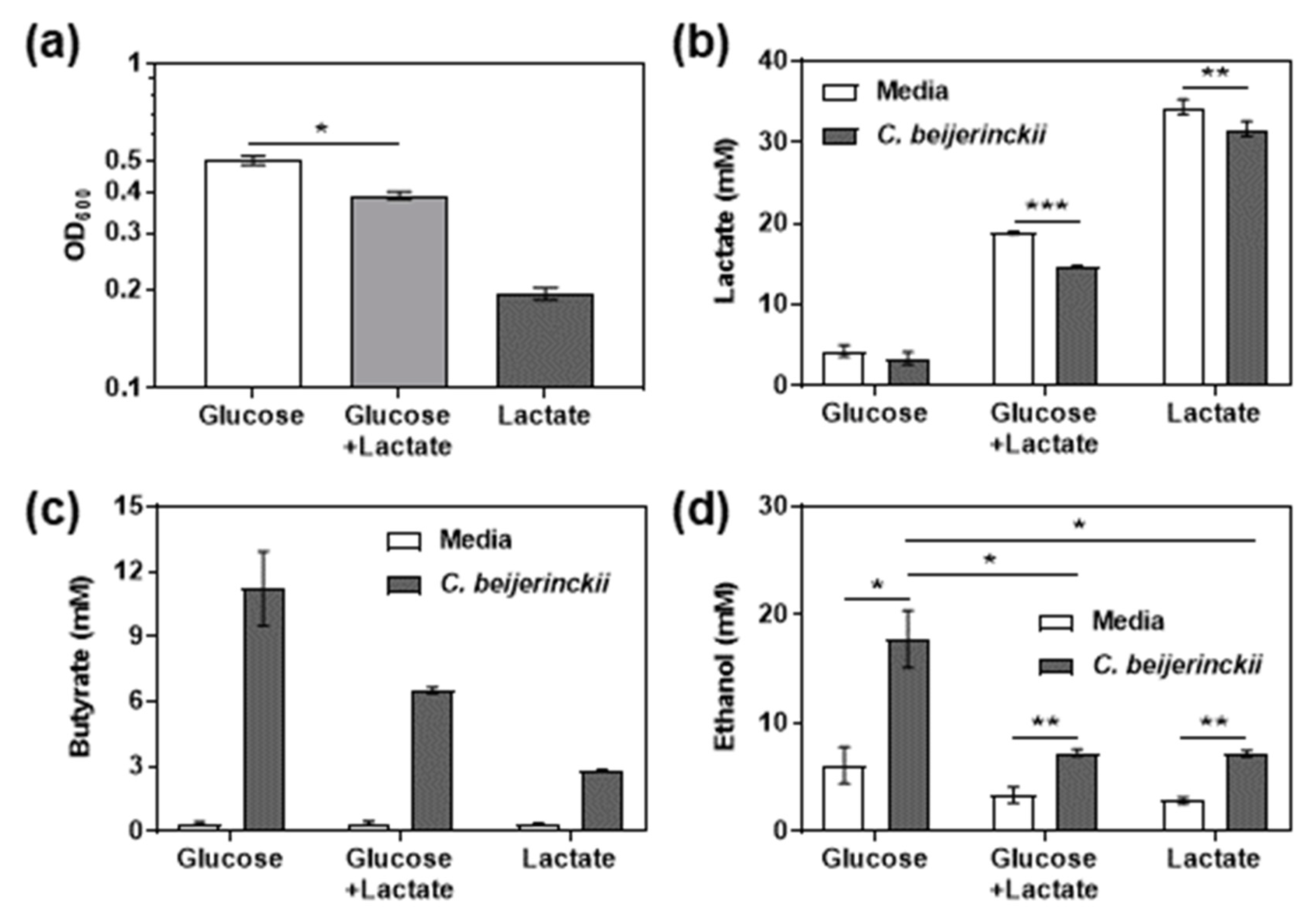 Fermentation 05 00098 g005