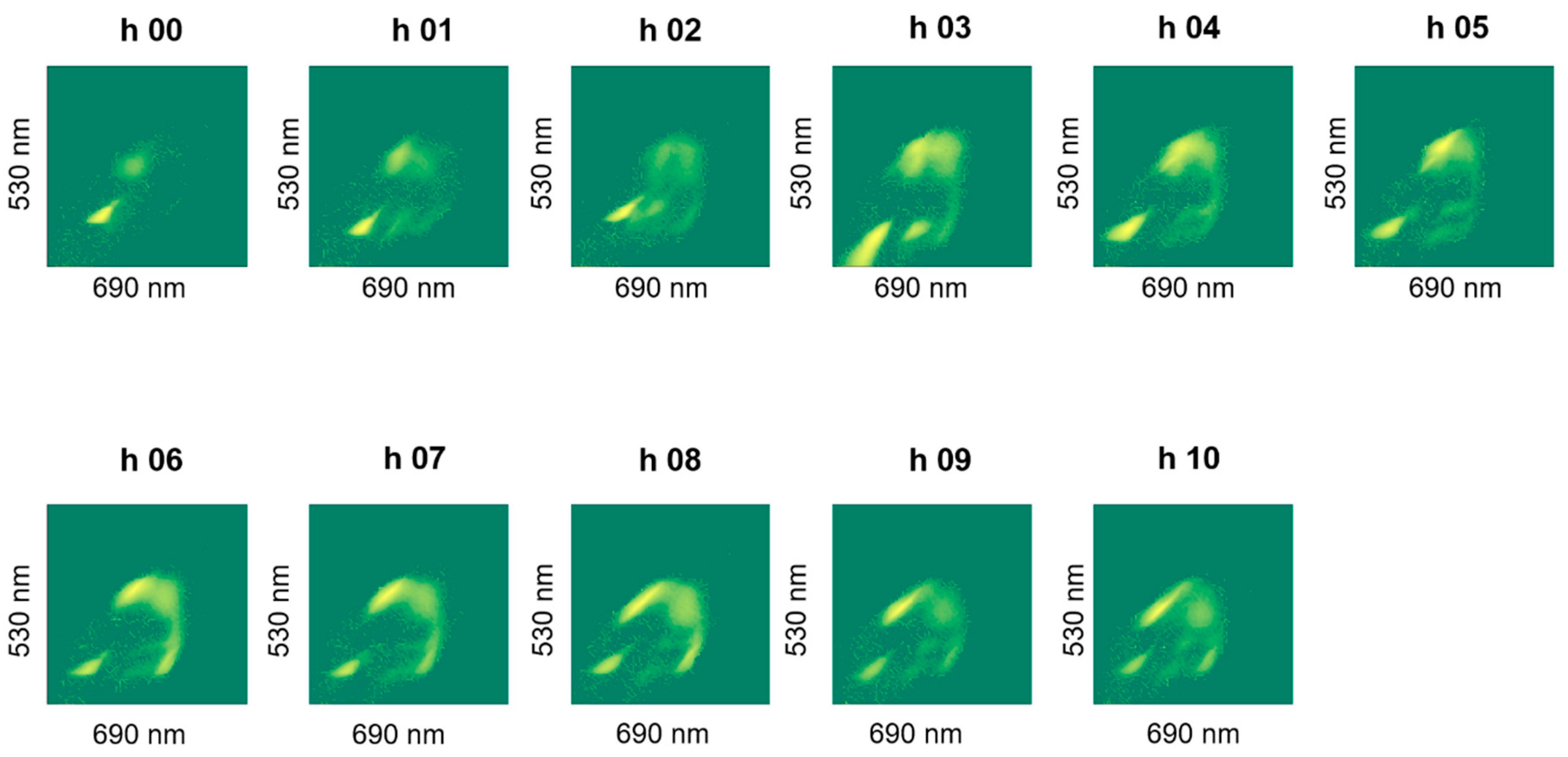 Fermentation 06 00010 g0a2
