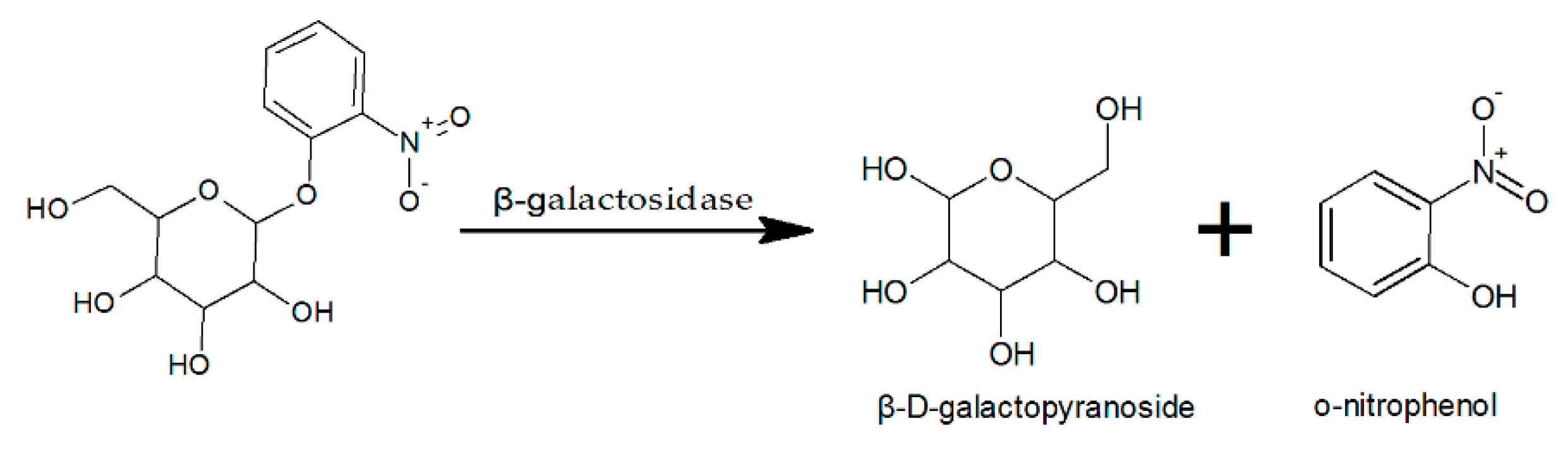 Fermentation Free Full Text Optimization Of B Galactosidase Production By Batch Cultures Of Lactobacillus Leichmannii 313 Atcc 70 Html