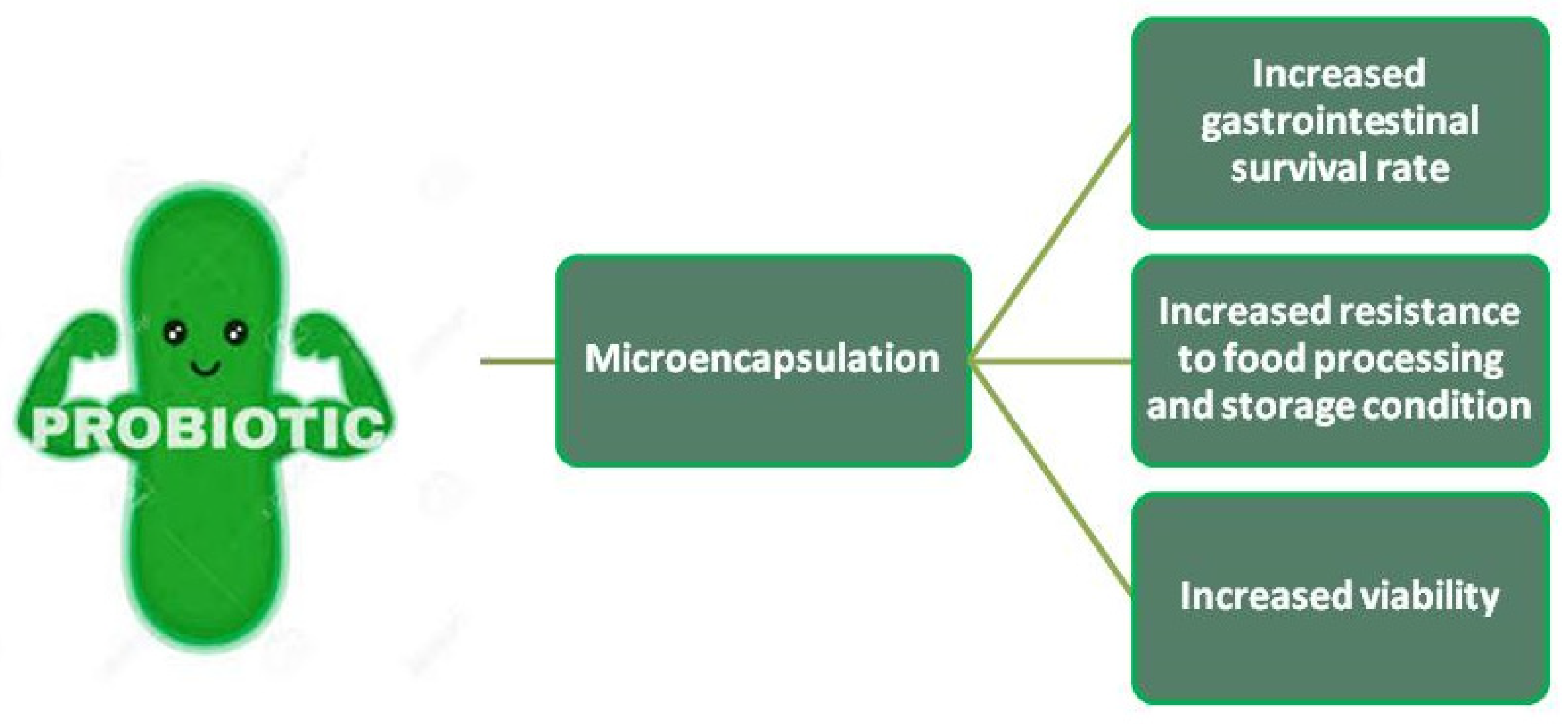 Fermentation | Free Full-Text | Review on Non-Dairy Probiotics and Their  Use in Non-Dairy Based Products | HTML