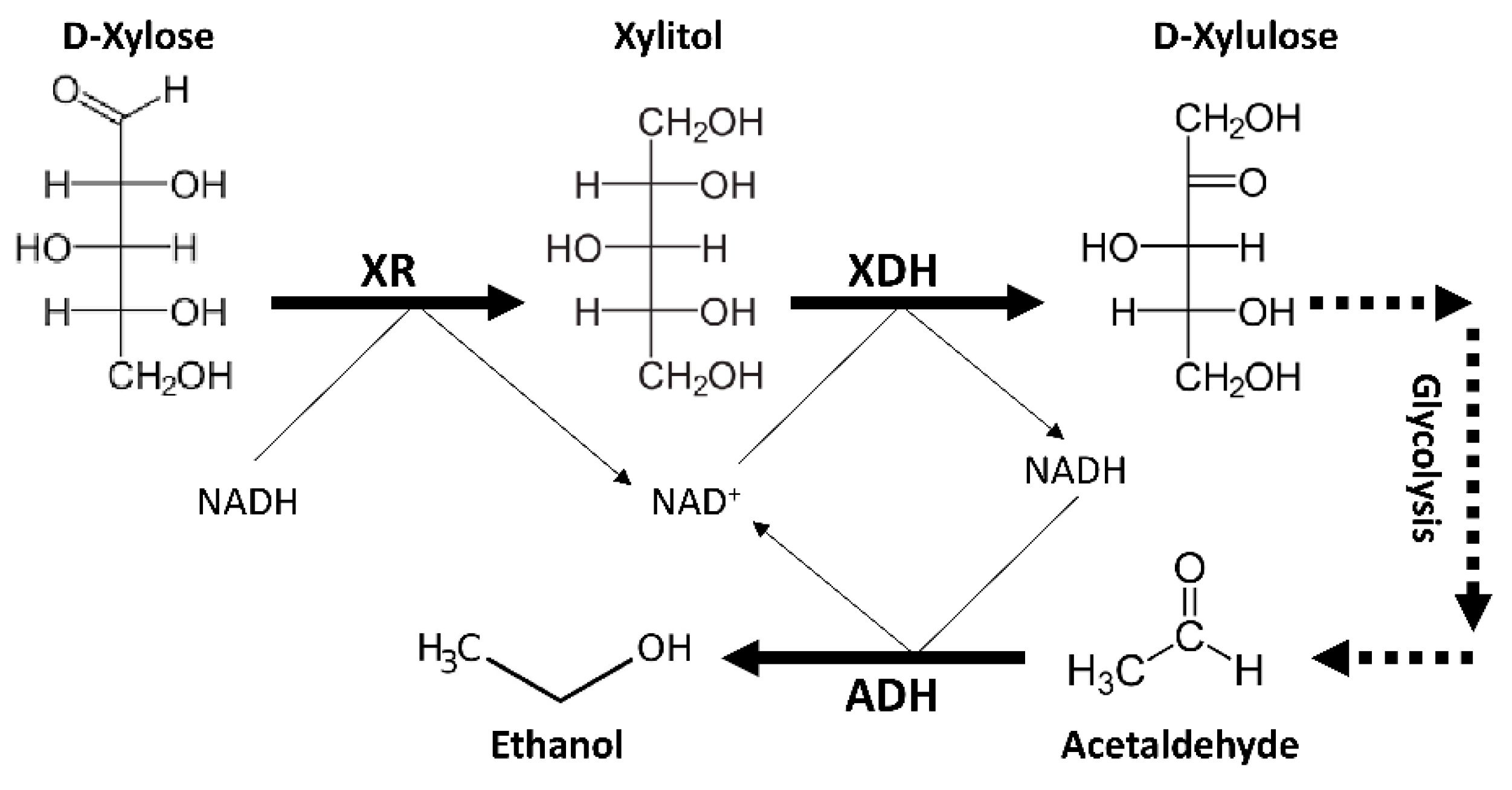 Fermentation 06 00033 g002