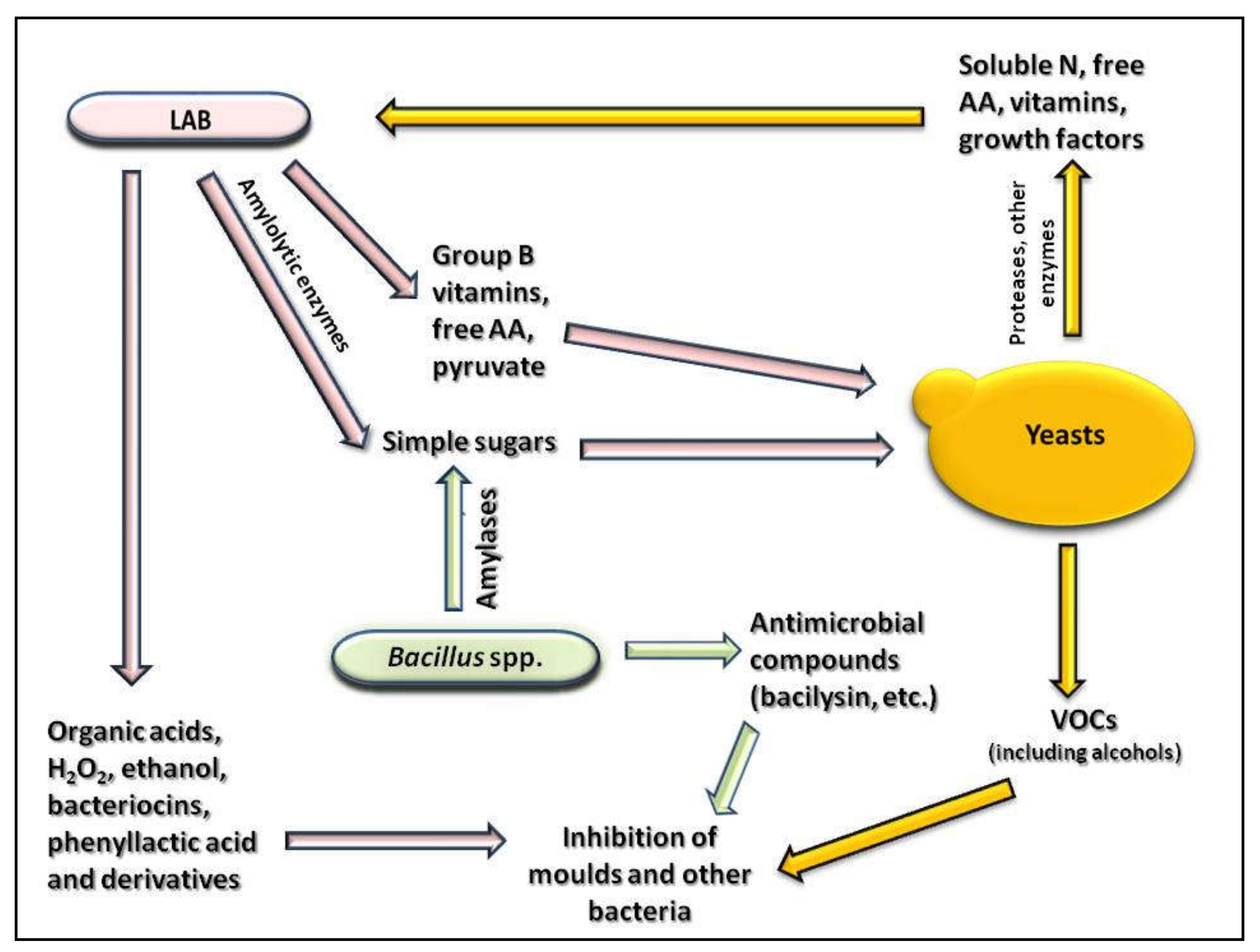 Fermentation Free Full Text Changes Occurring In Spontaneous Maize Fermentation An Overview Html