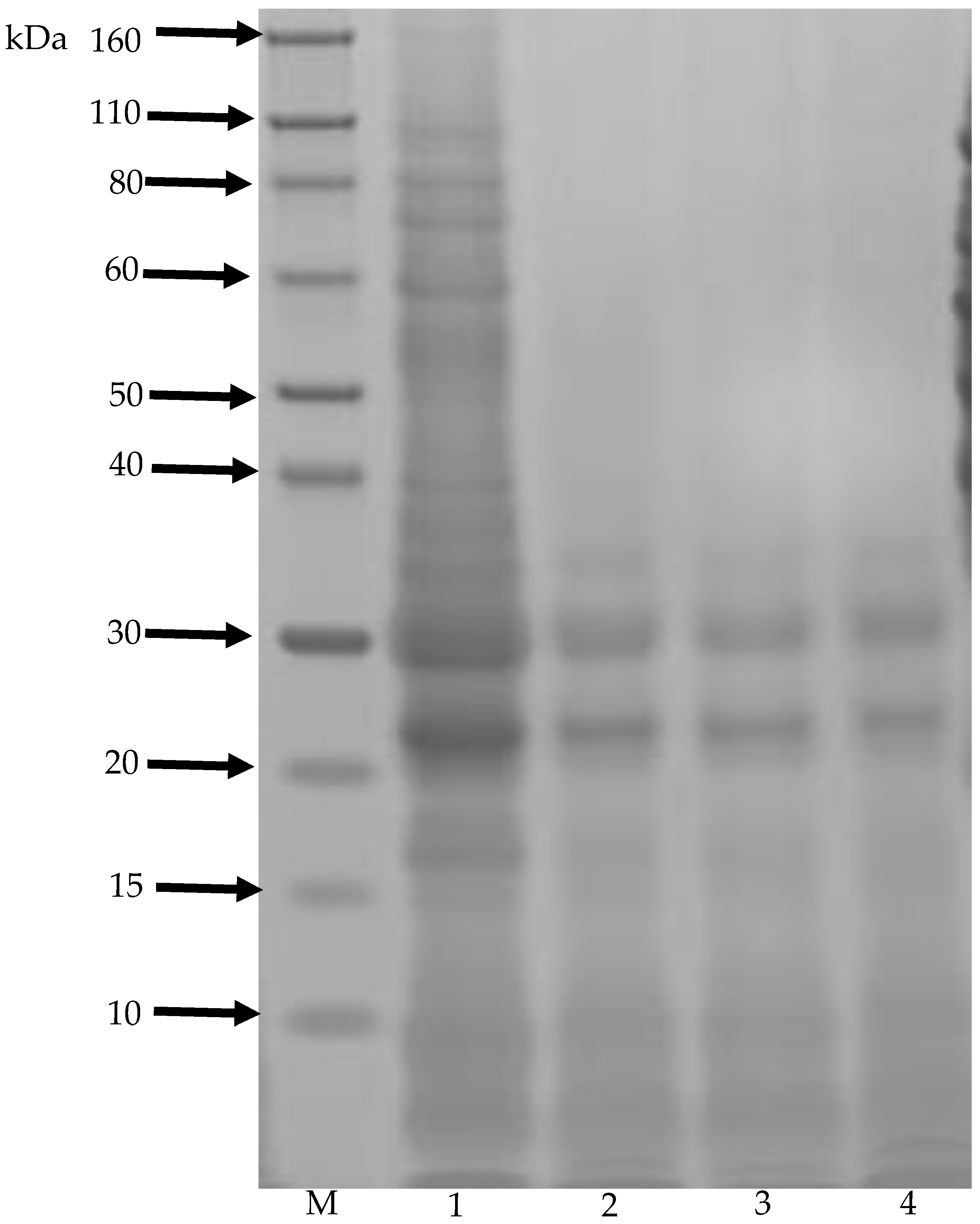 Fermentation 06 00044 g003 Fermentation 06 00044 g003