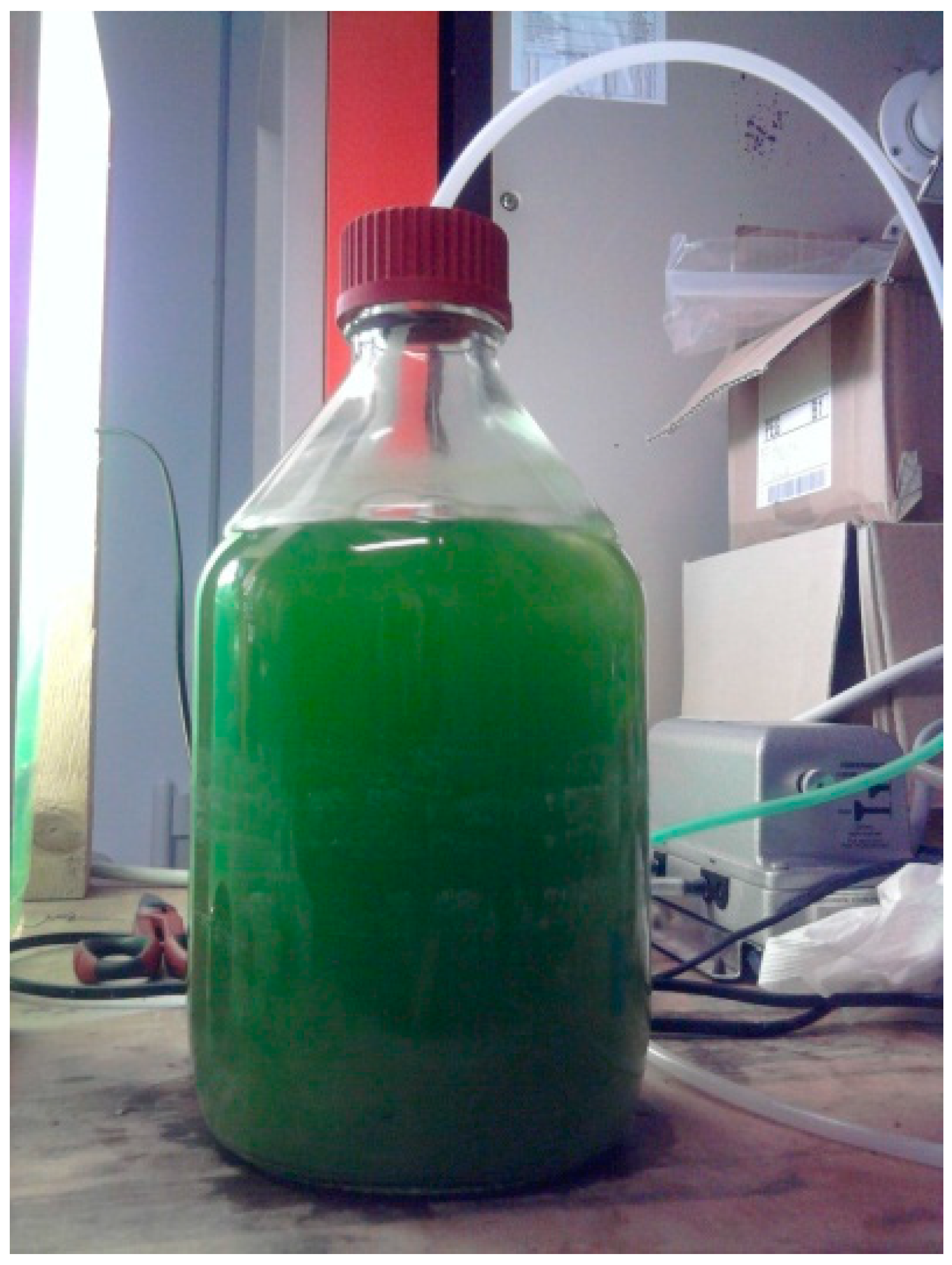 Fermentation 06 00046 g002 Fermentation 06 00046 g002