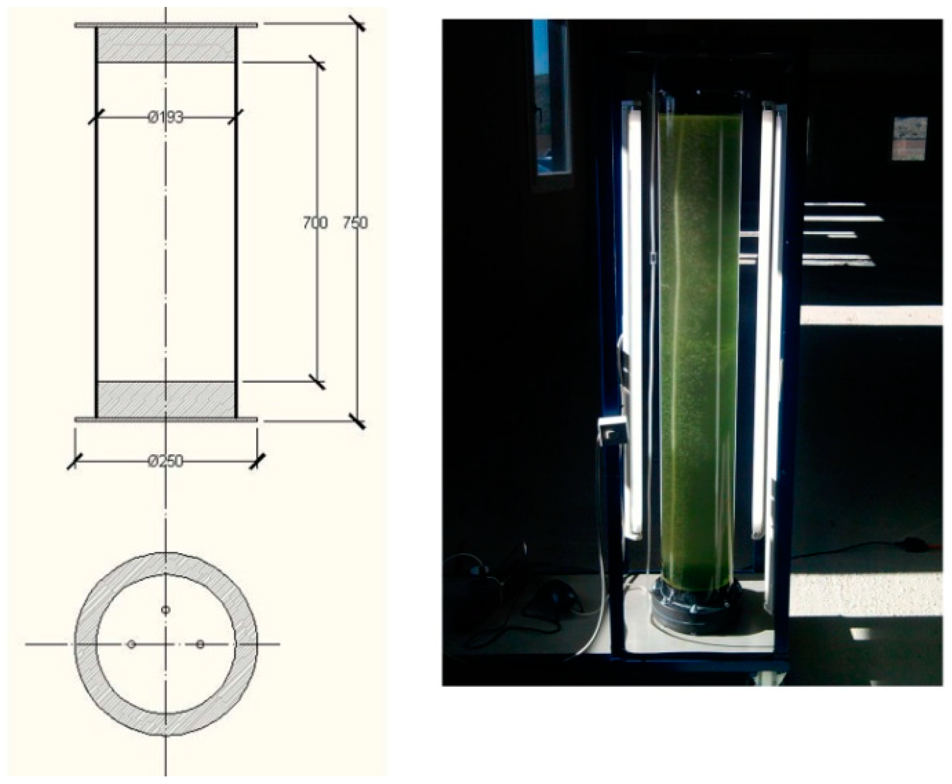 Fermentation 06 00046 g003 Fermentation 06 00046 g003