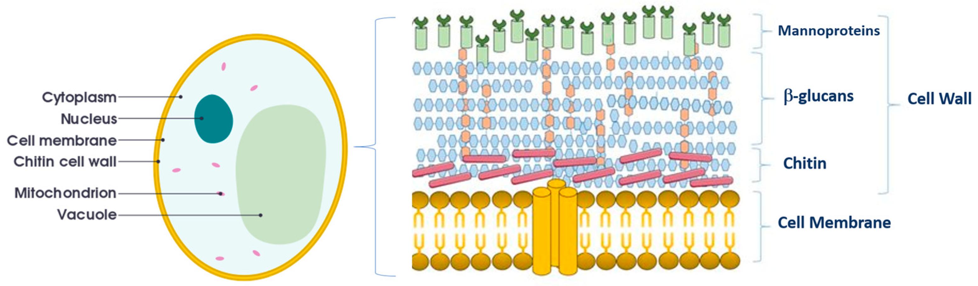 Fermentation 06 00054 g002 Fermentation 06 00054 g002