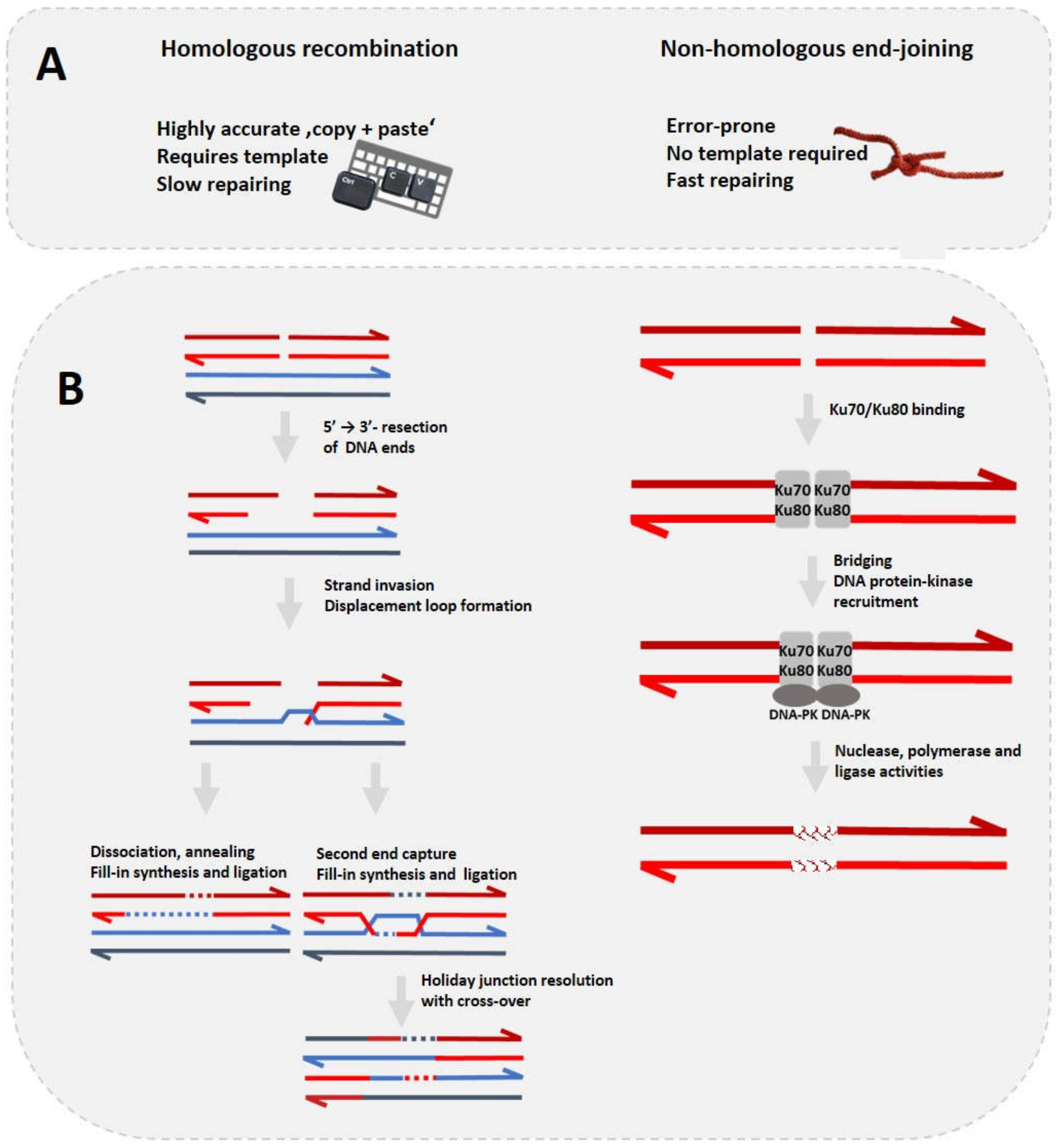 Fermentation 06 00057 g002 Fermentation 06 00057 g002