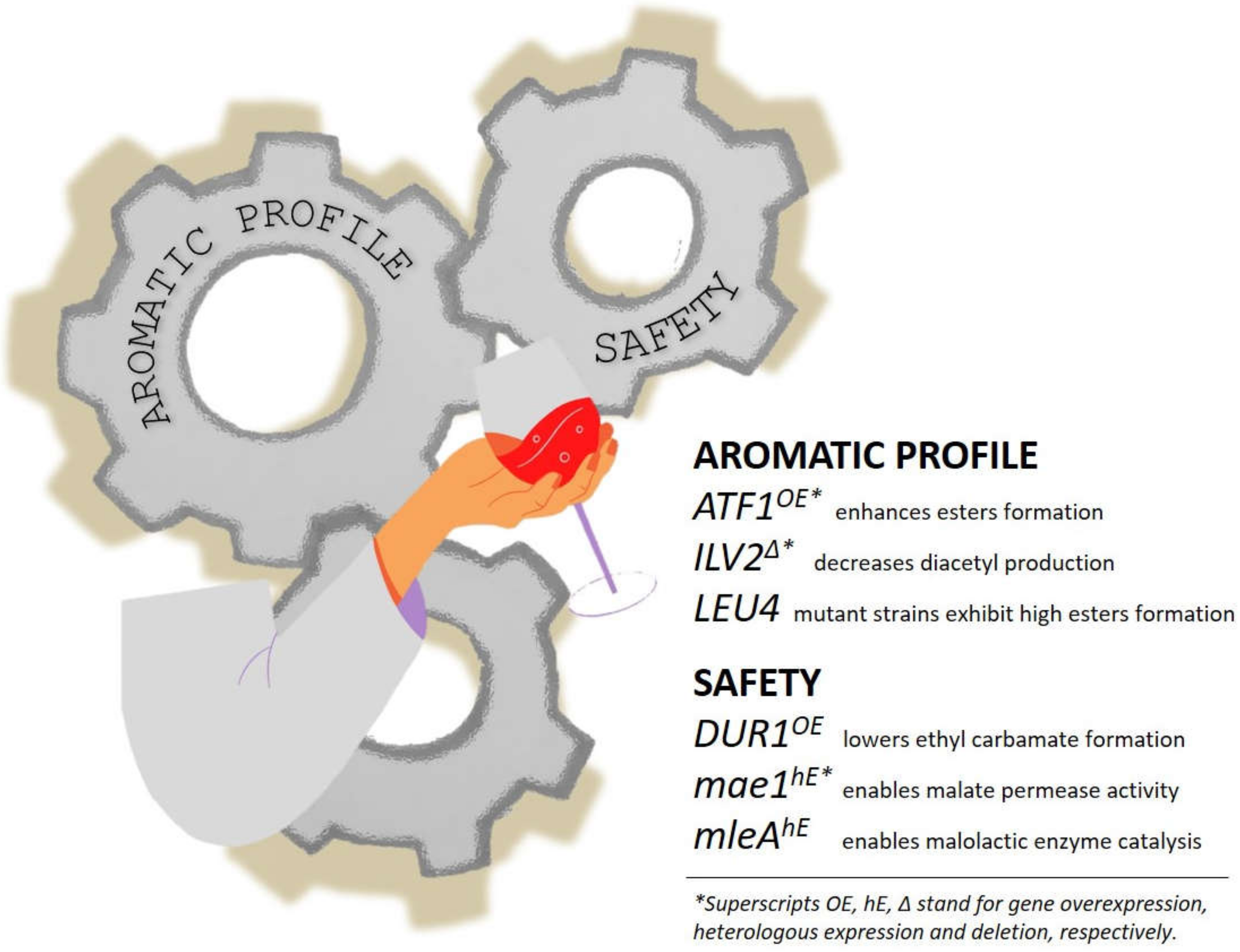 Fermentation 06 00057 g006 Fermentation 06 00057 g006