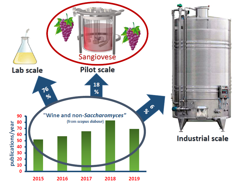 Fermentation Free FullText Pilot Scale Fermentations of Sangiovese