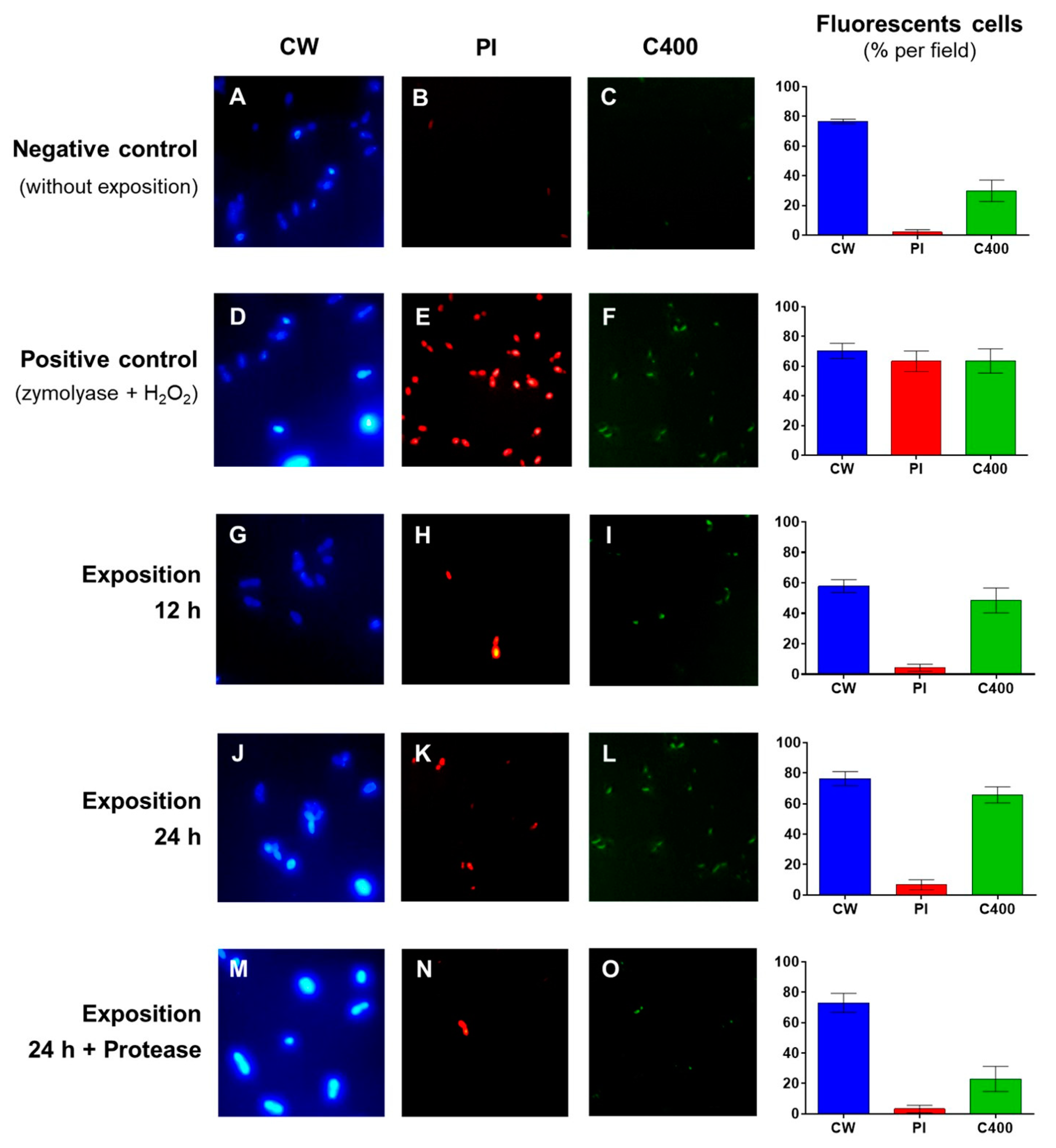Fermentation 06 00065 g001