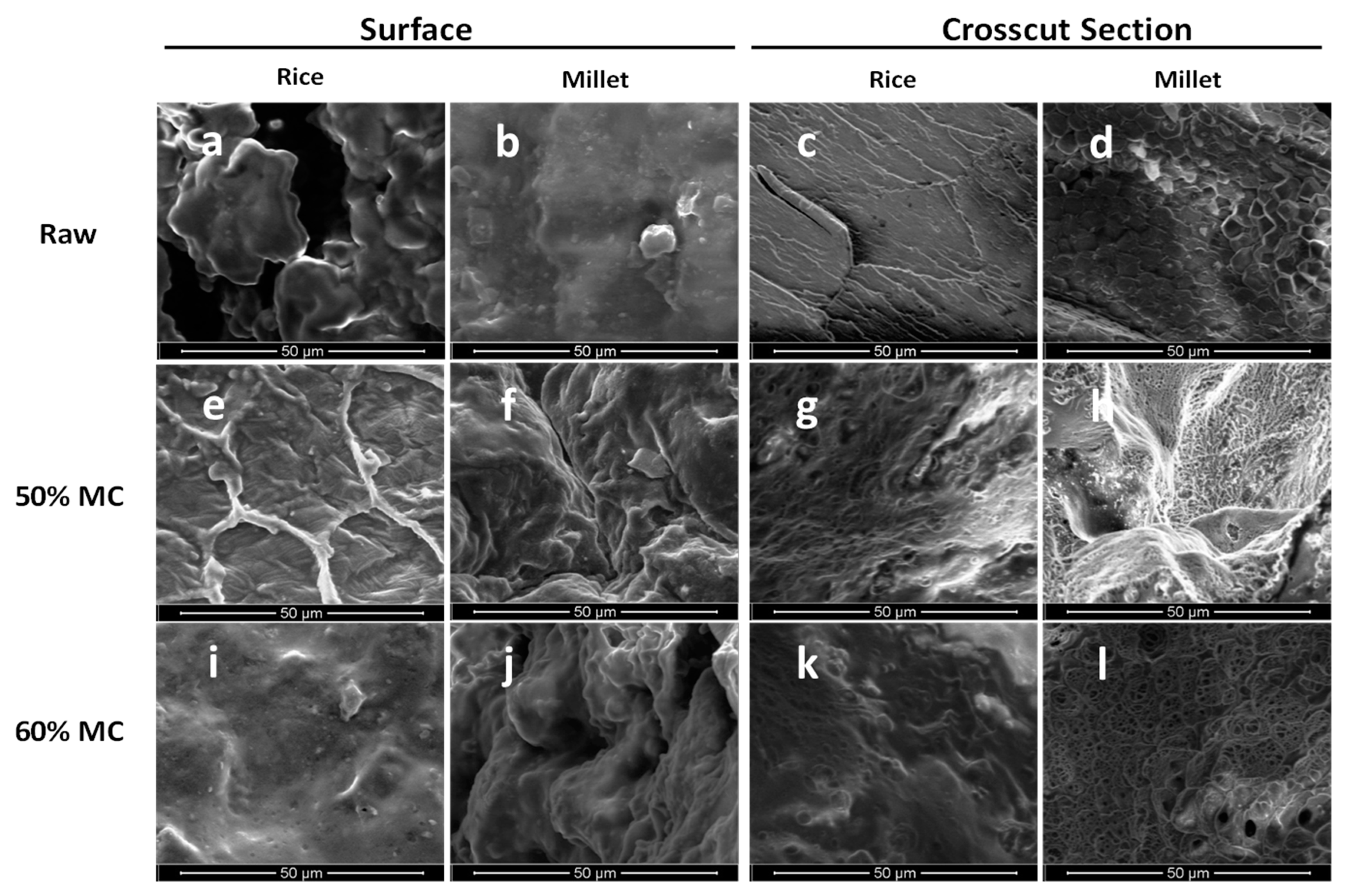 Fermentation 06 00069 g004