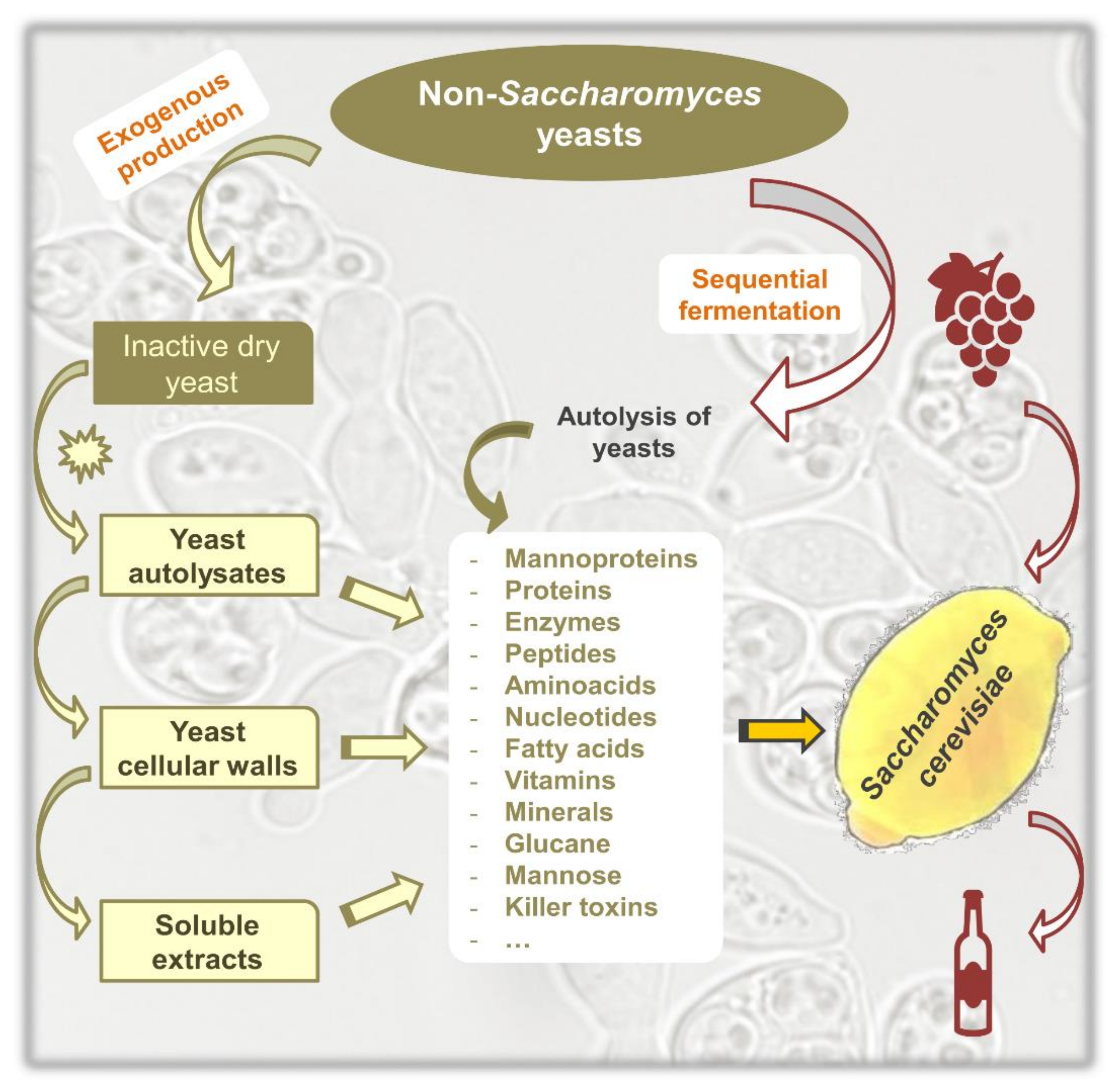 Fermentation 06 00076 g001
