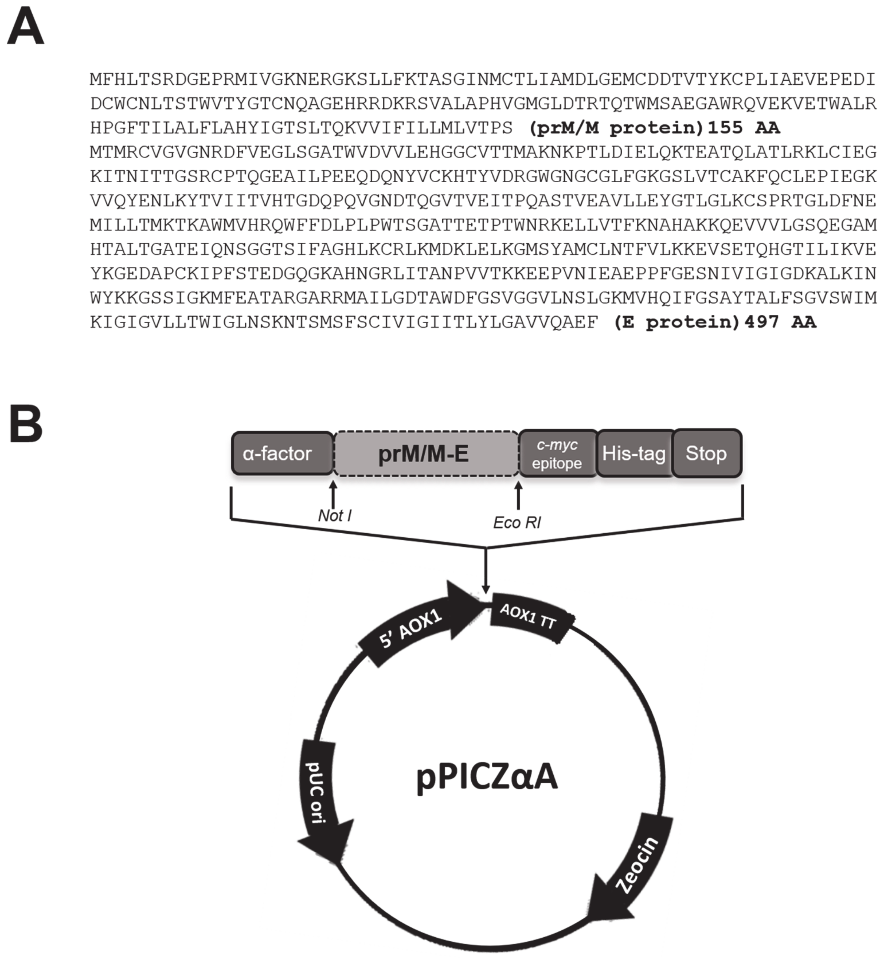 Fermentation 06 00088 g001 Fermentation 06 00088 g001