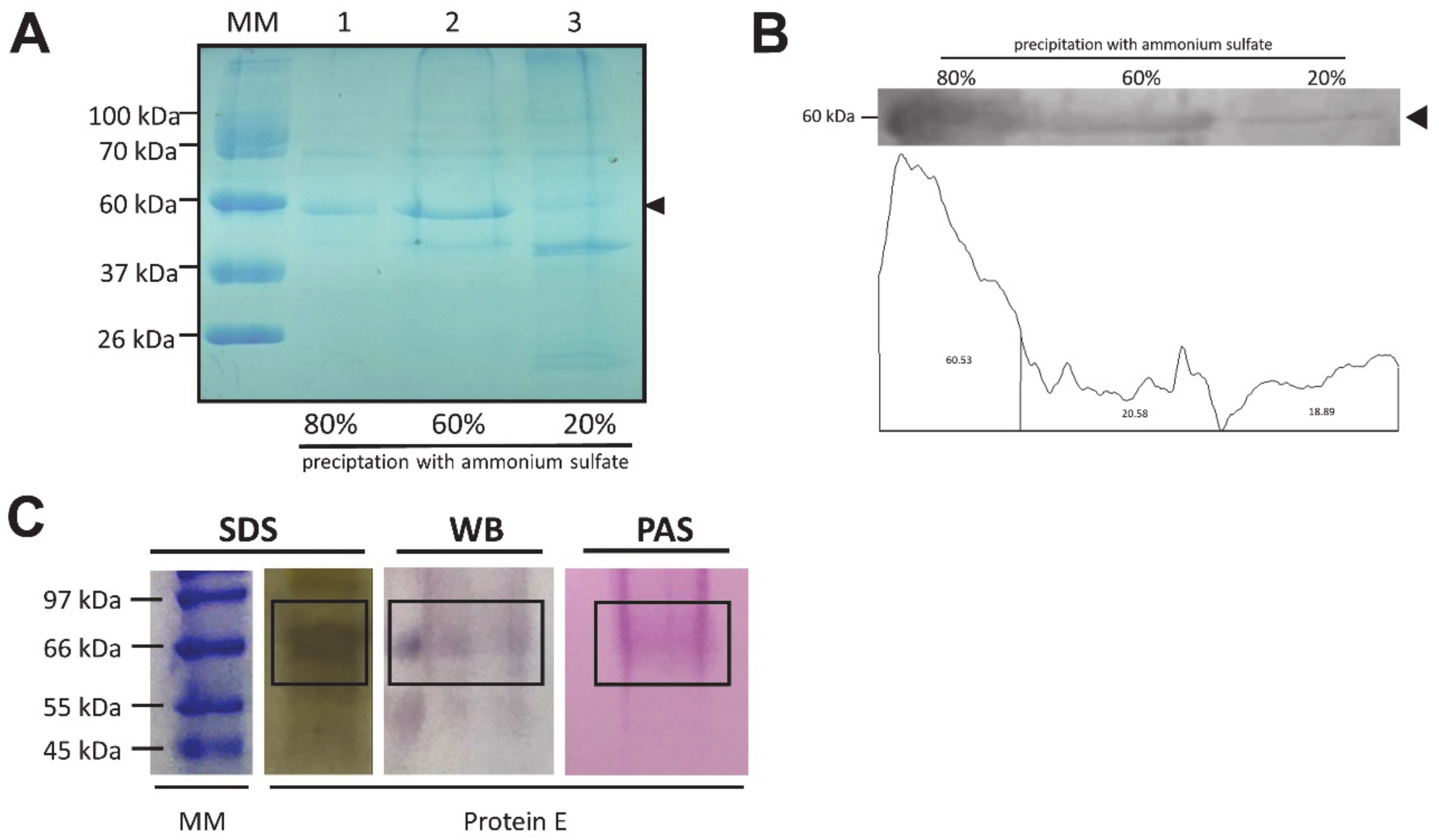 Fermentation 06 00088 g003 Fermentation 06 00088 g003