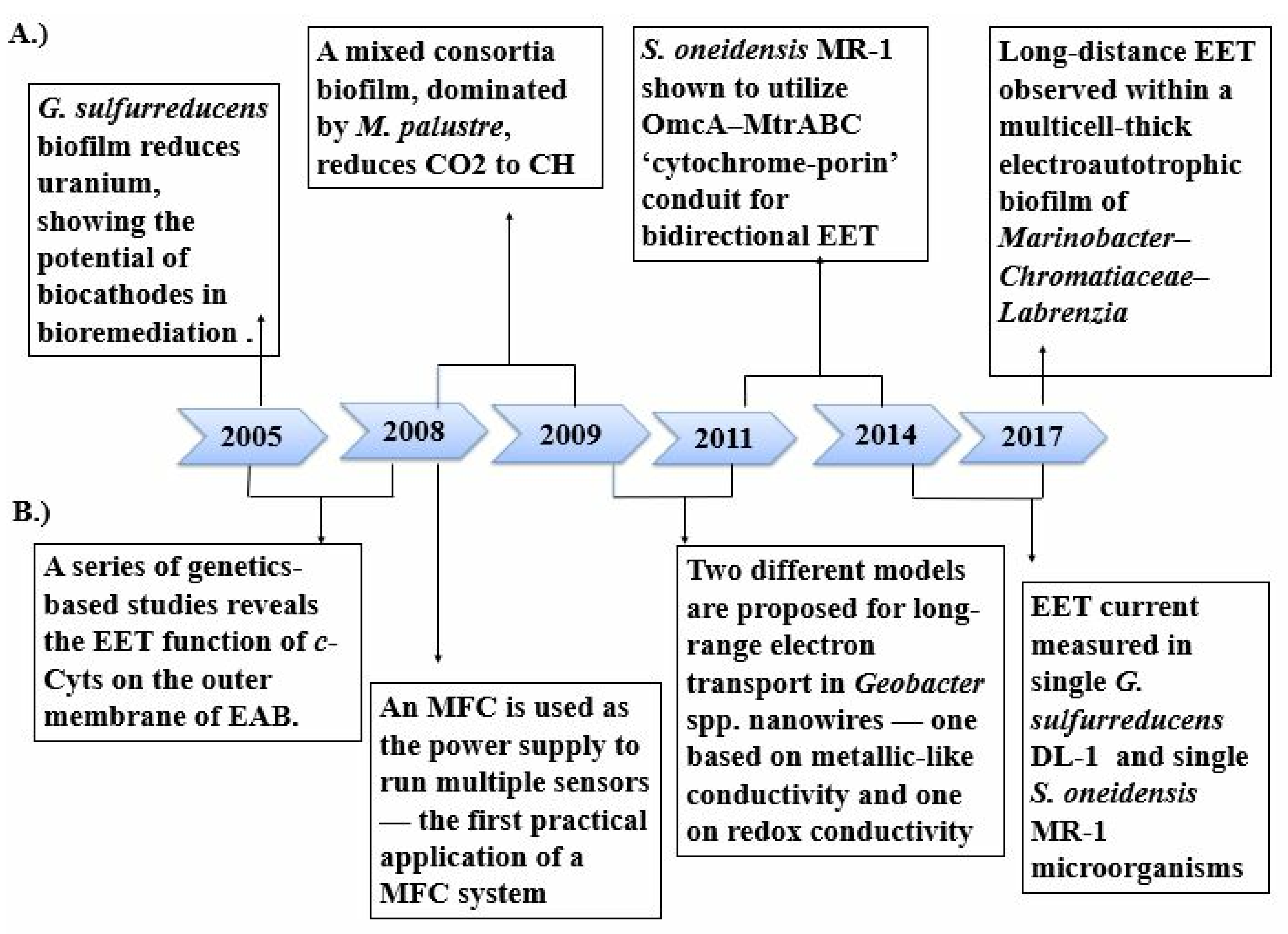 Fermentation 06 00092 g001