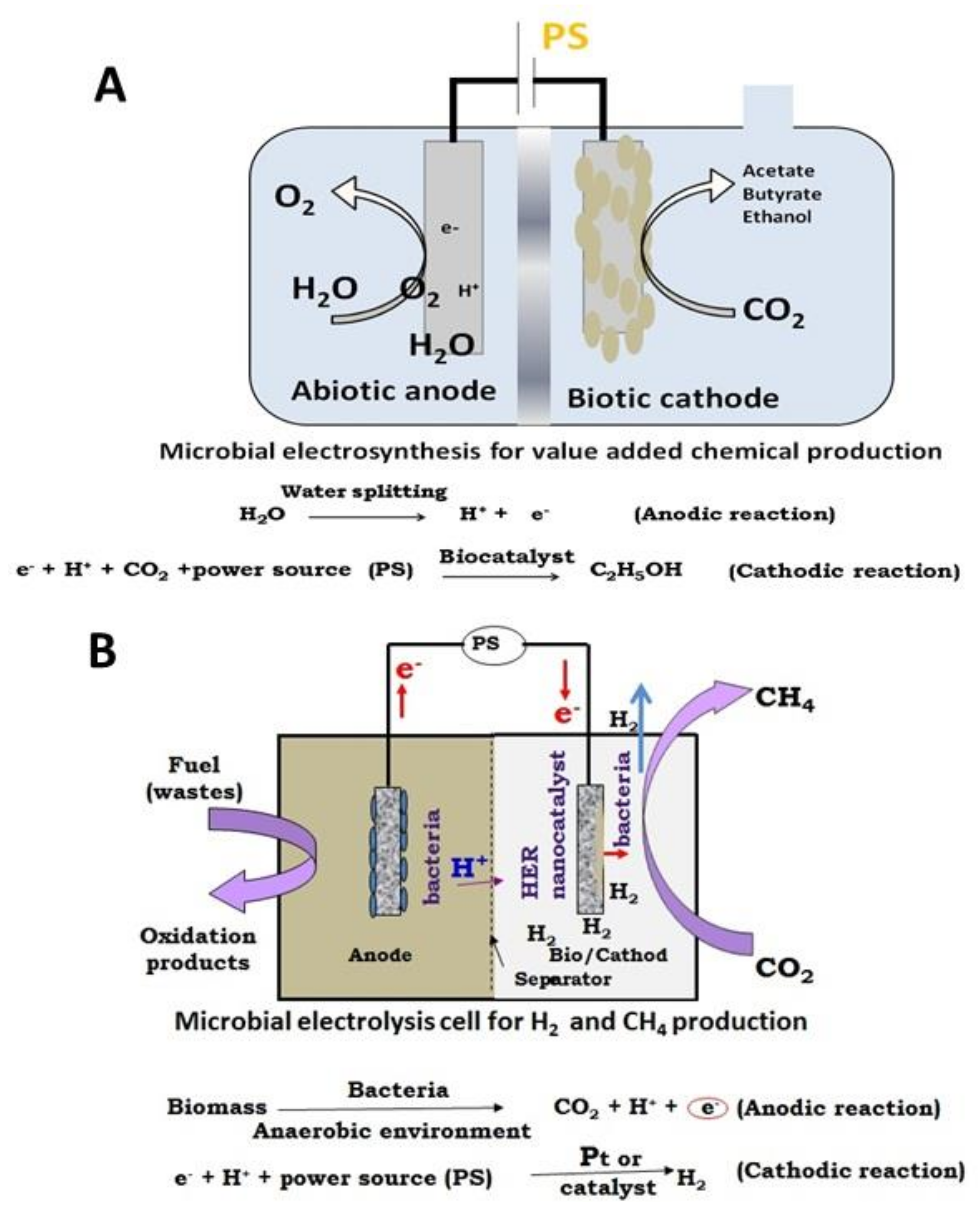 Fermentation 06 00092 g002