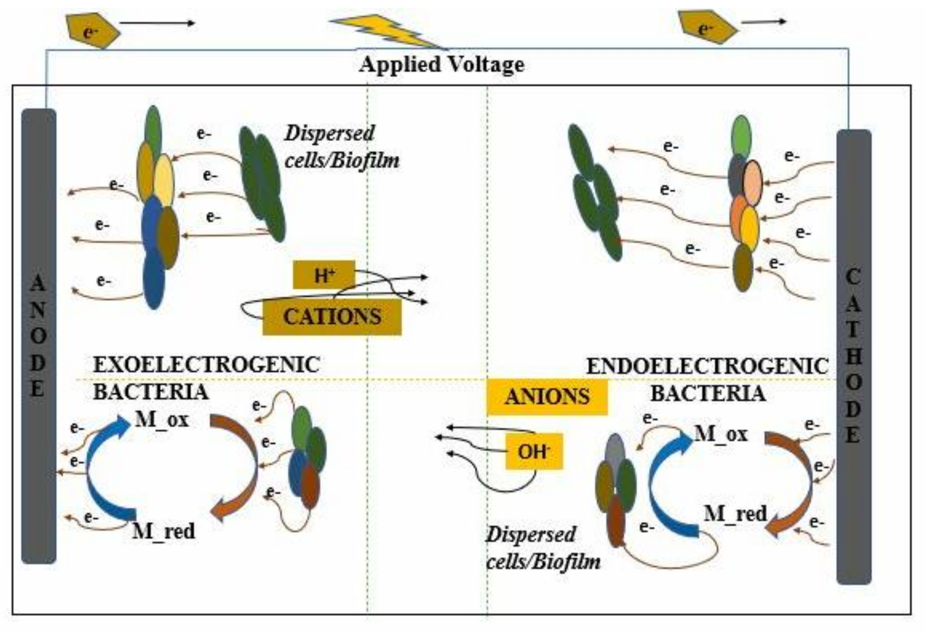 Fermentation 06 00092 g003