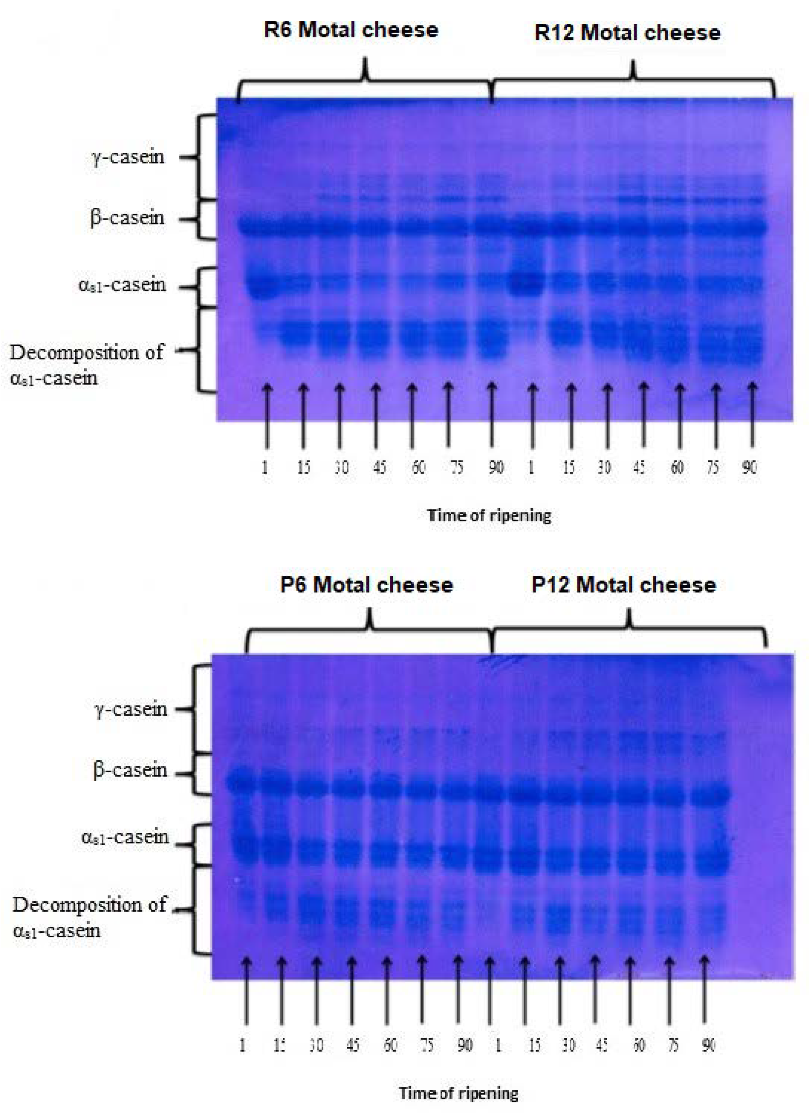 Fermentation 06 00095 g001 Fermentation 06 00095 g001