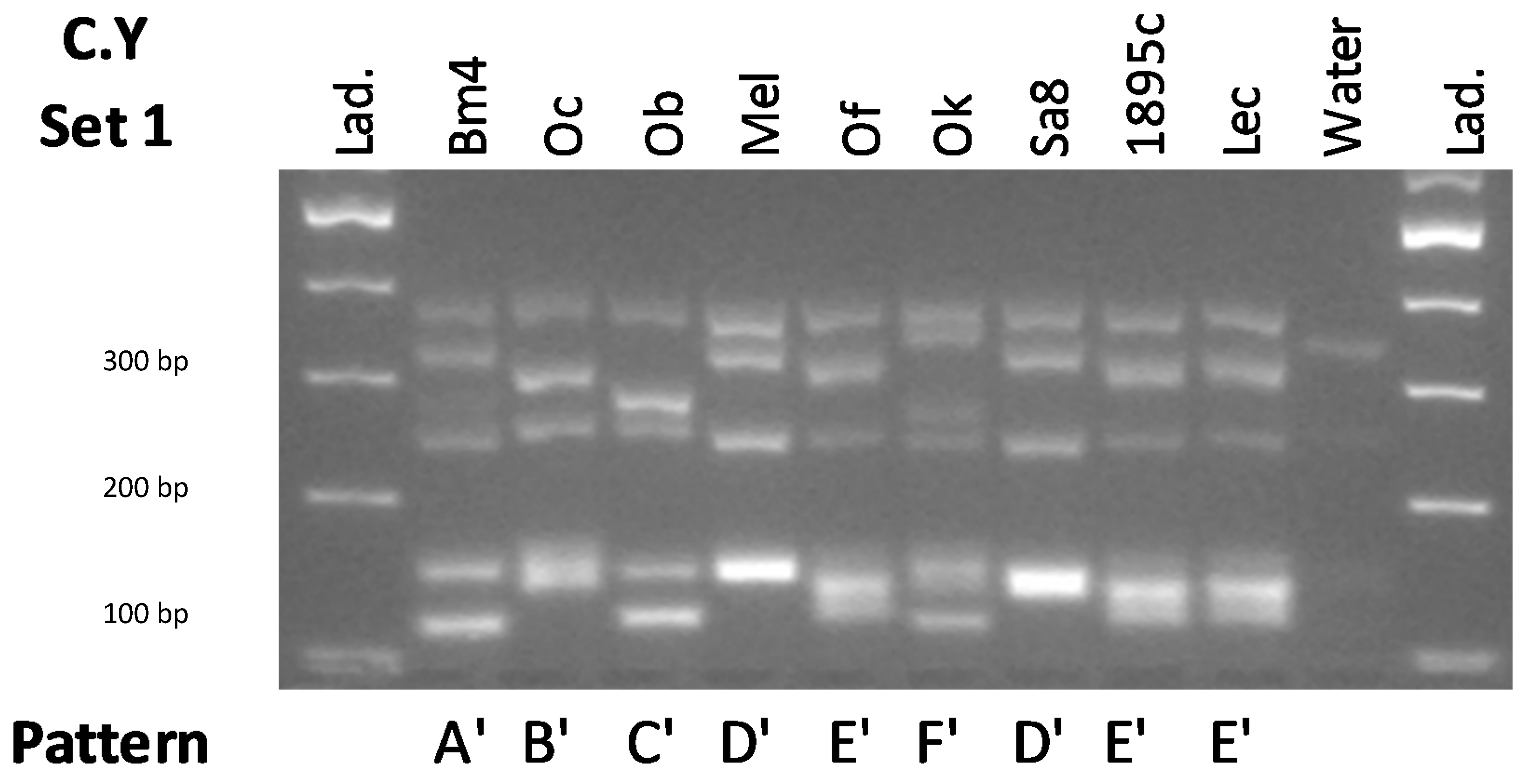 Fermentation 06 00101 g002 Fermentation 06 00101 g002