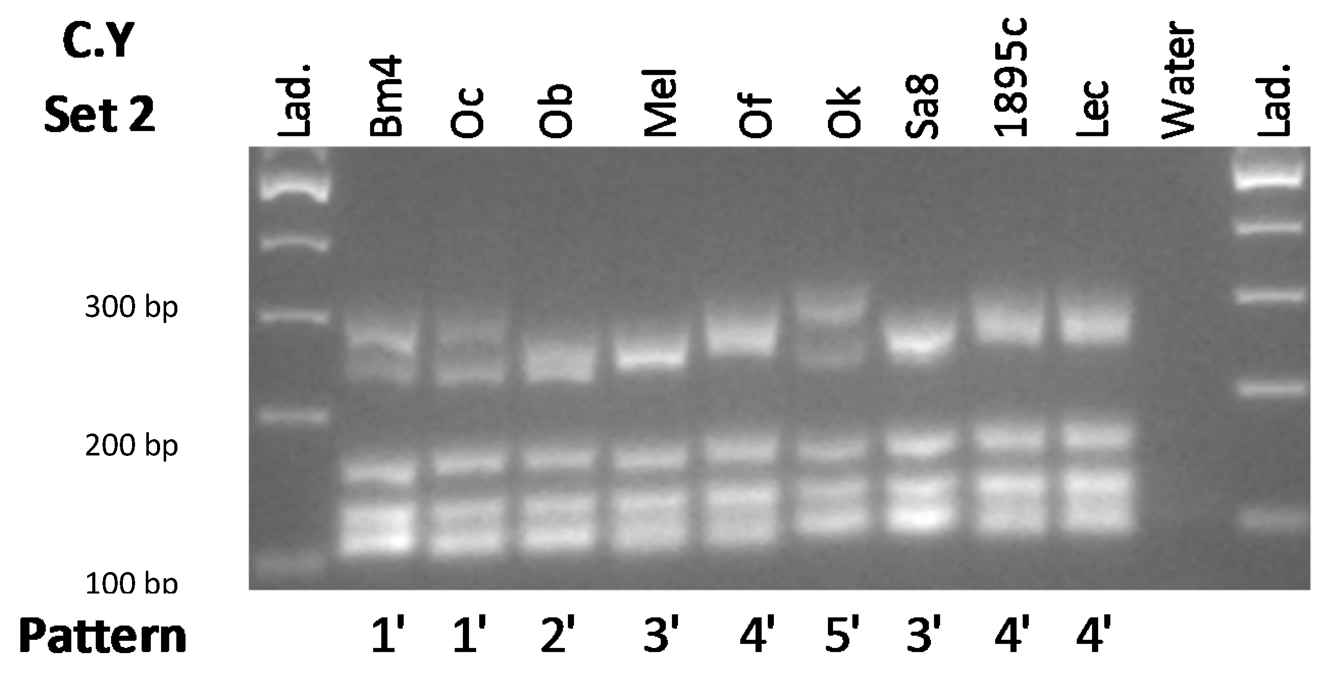 Fermentation 06 00101 g003 Fermentation 06 00101 g003