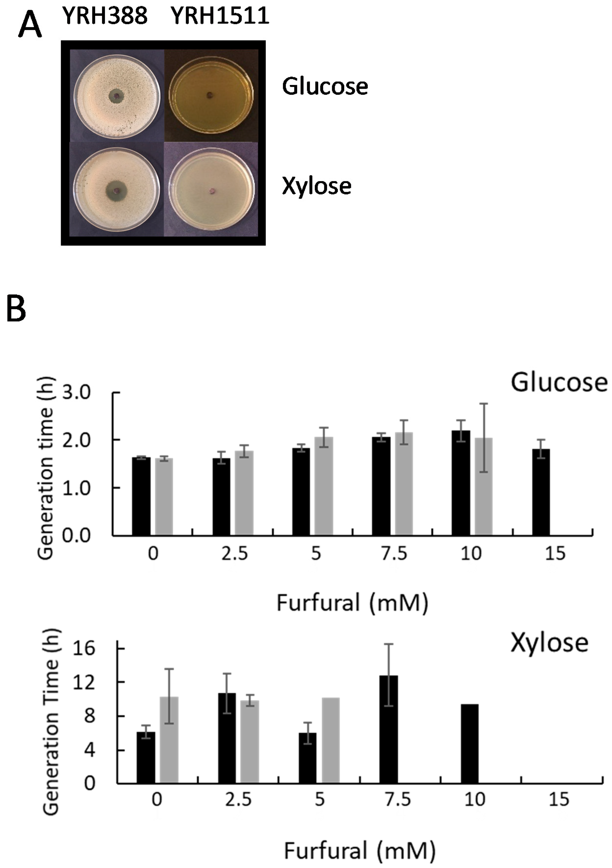 Fermentation 06 00107 g001