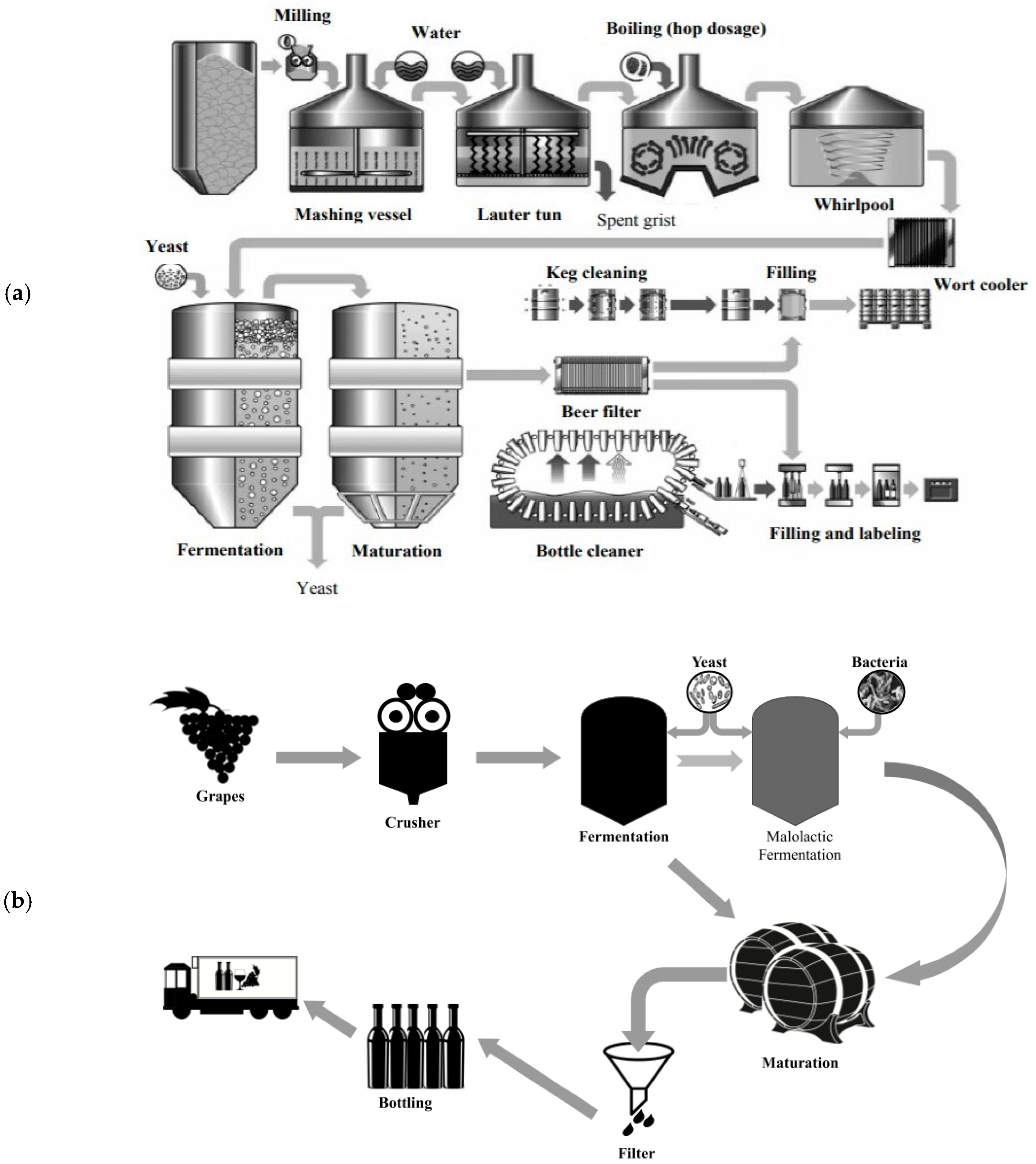 Beer yeast extract carbon oxygen nitrogen hydrogen content