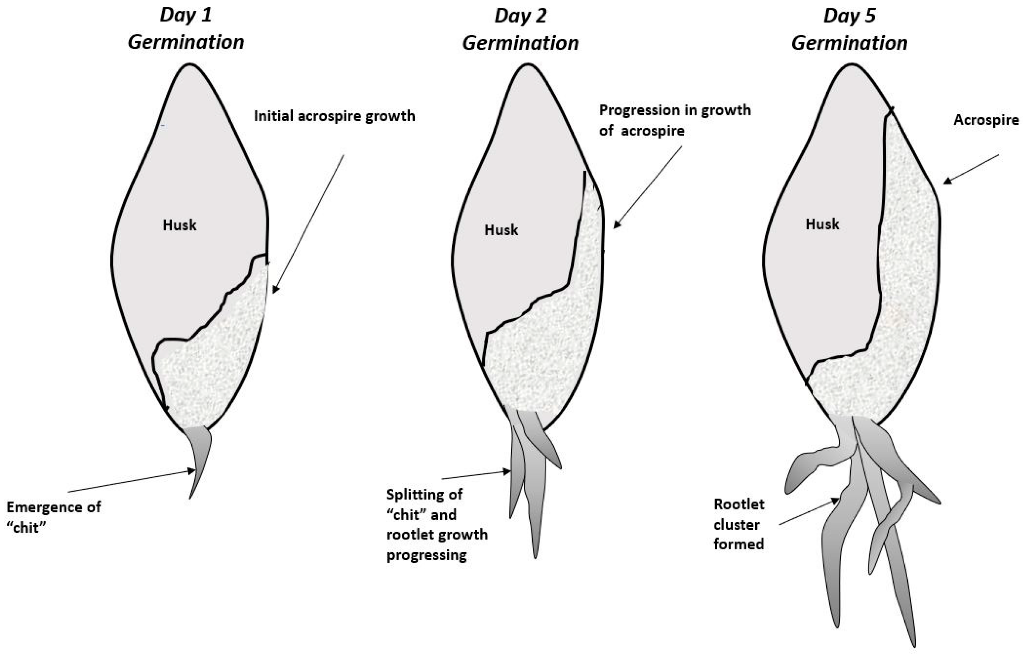 Fermentation 06 00117 g002