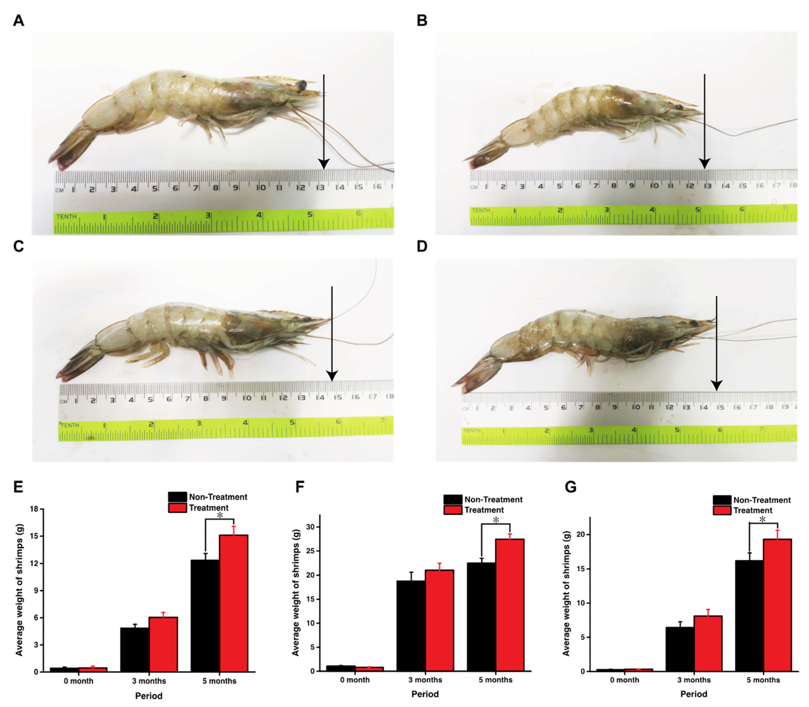 Fermentation 06 00118 g004
