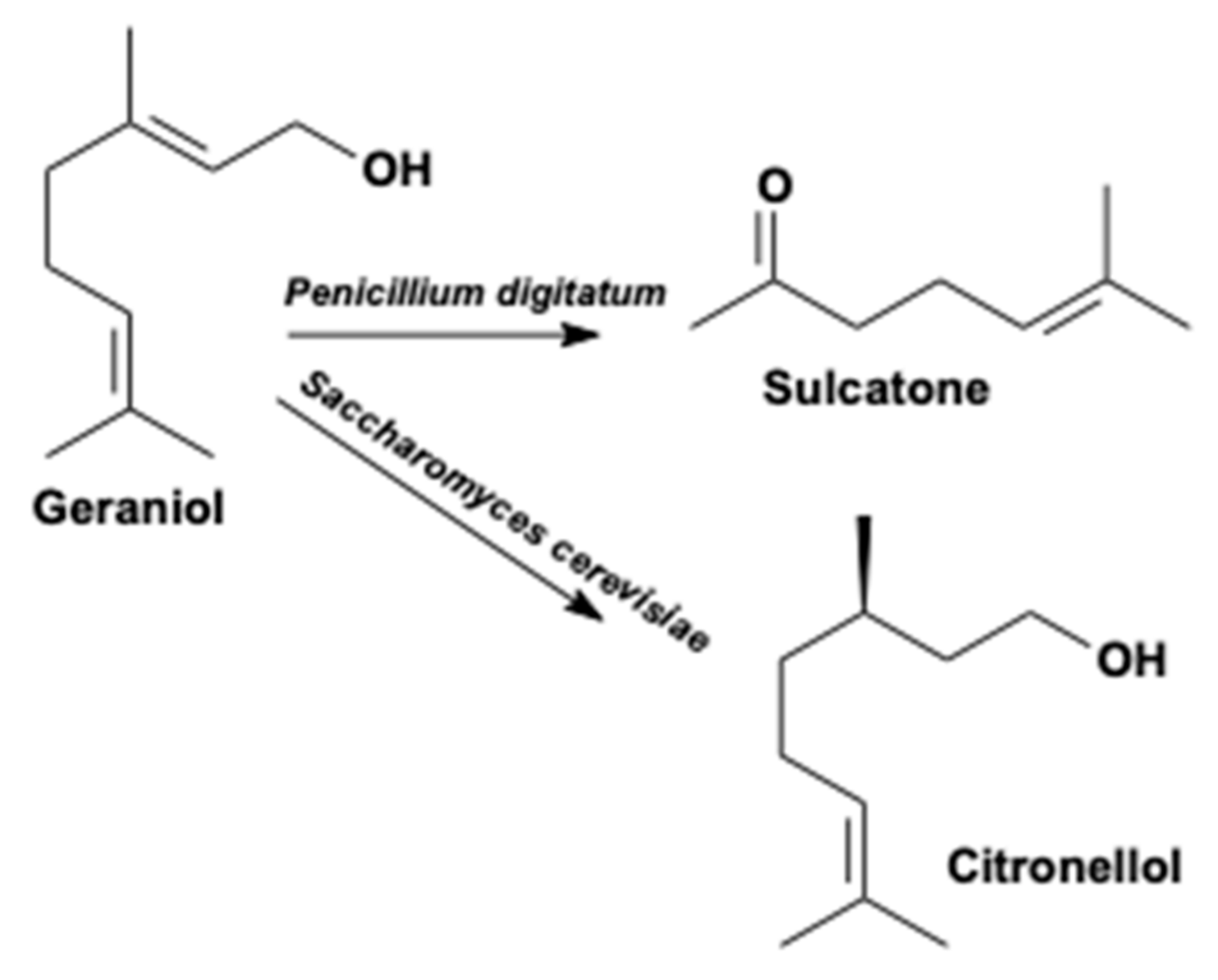 Fermentation 06 00120 g001