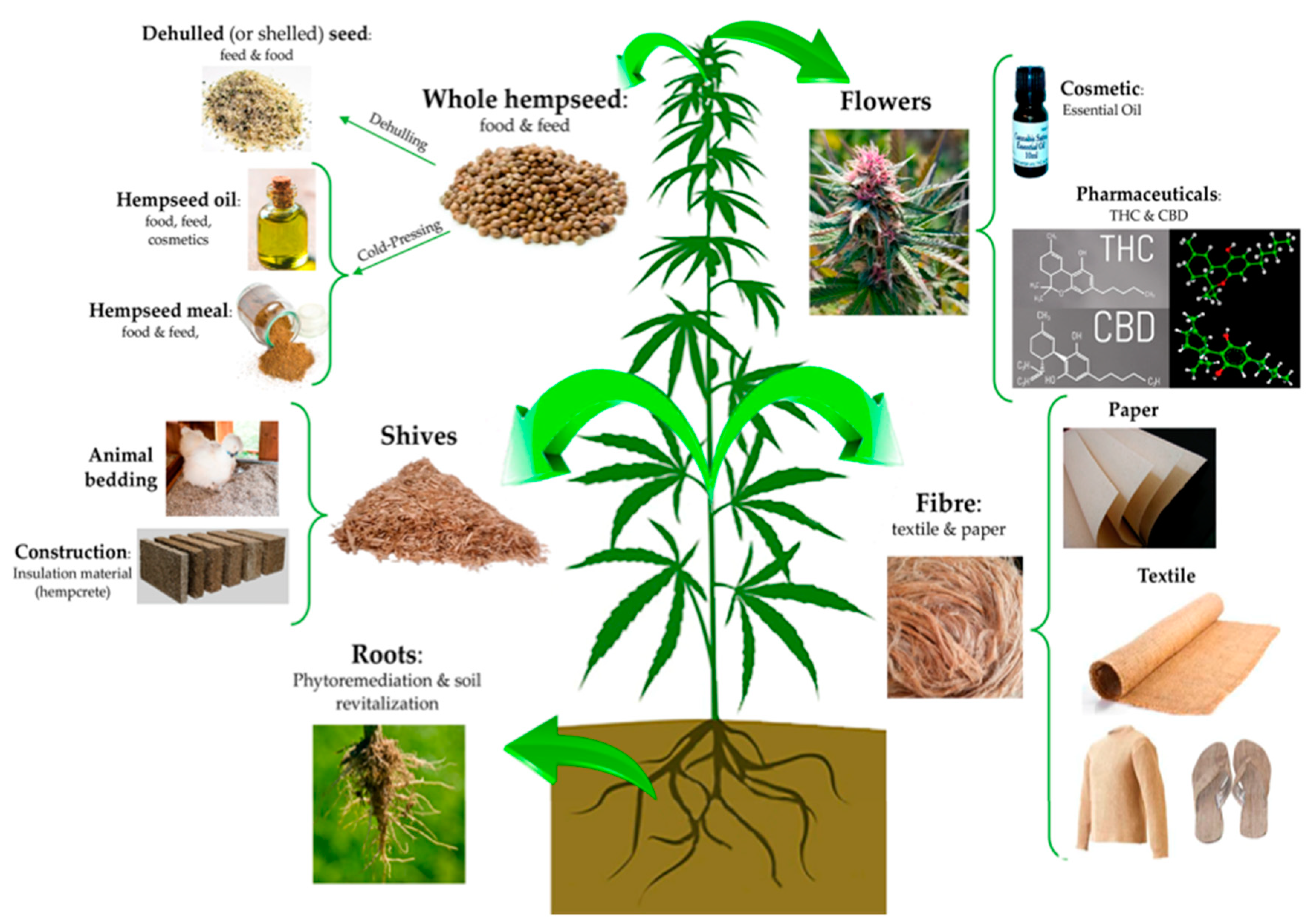 Fermentation | Free Full-Text | Recent Advancements in Biological  Conversion of Industrial Hemp for Biofuel and Value-Added Products