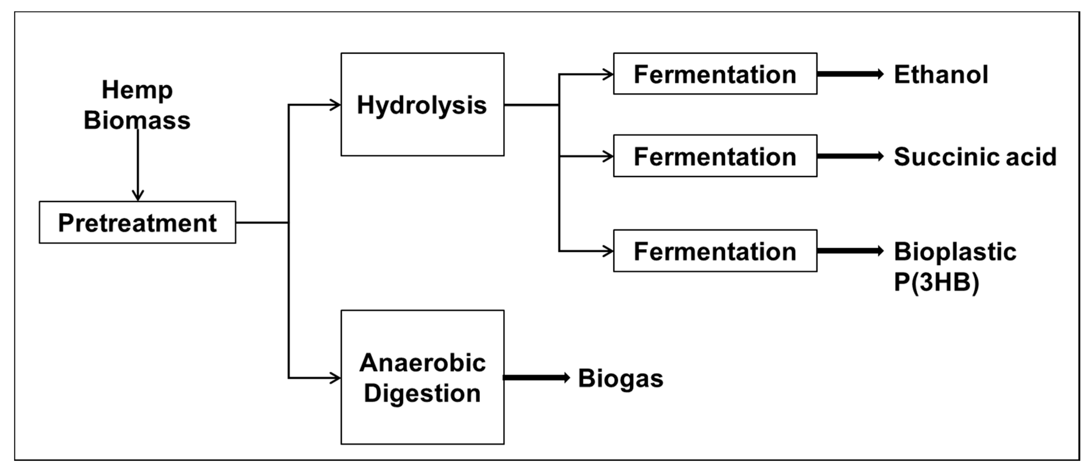 Fermentation 07 00006 g004
