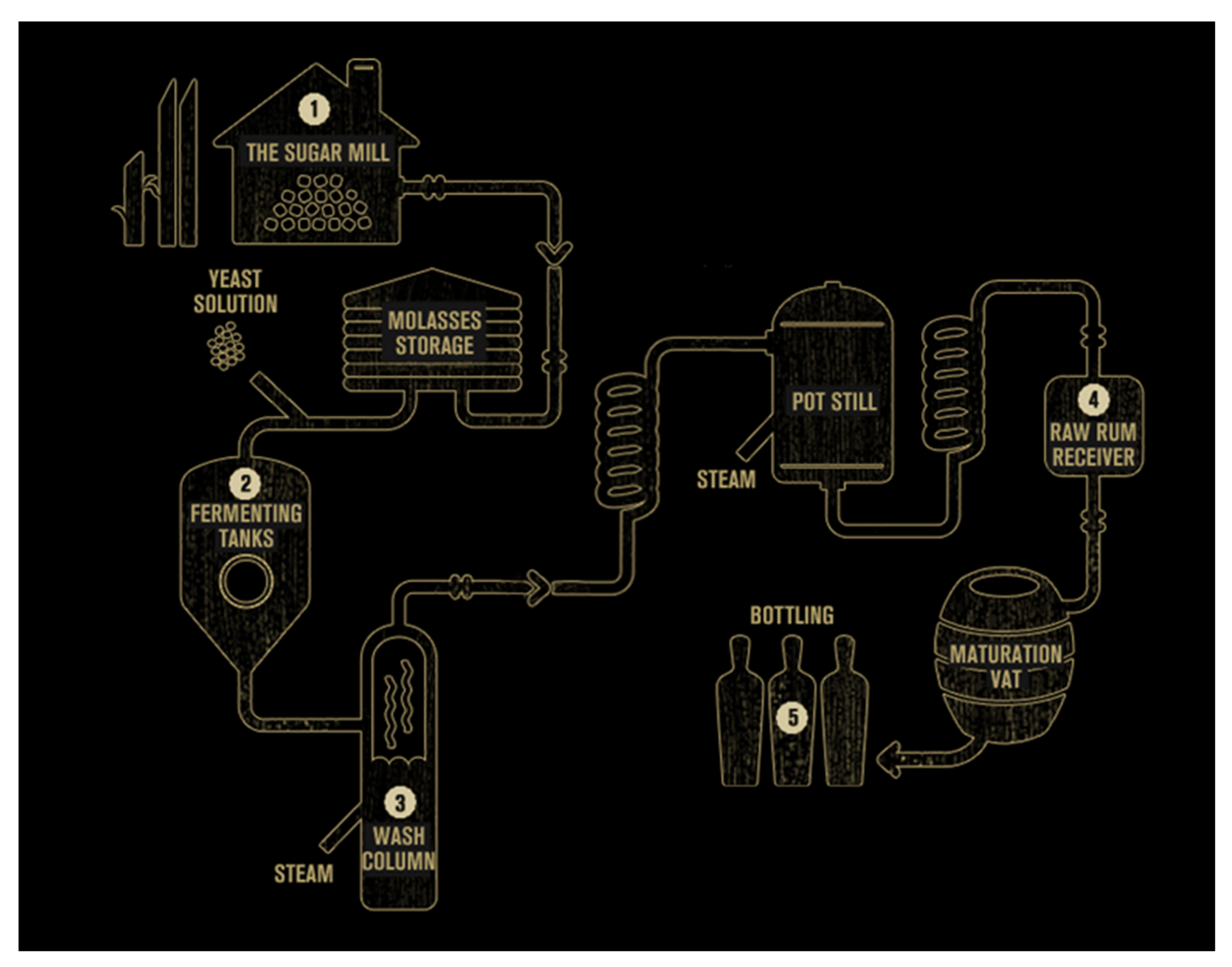 Fermentation & maturation - ADS