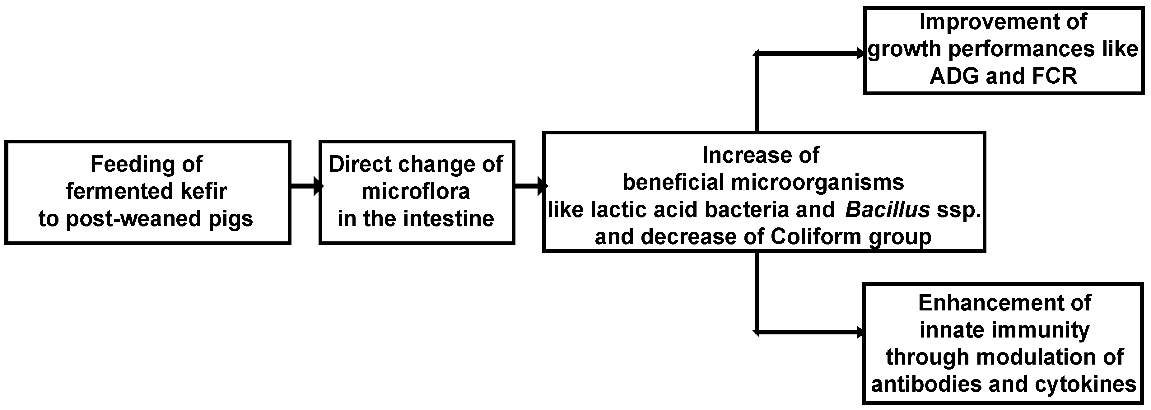 Fermentation 07 00023 g005 Fermentation 07 00023 g005