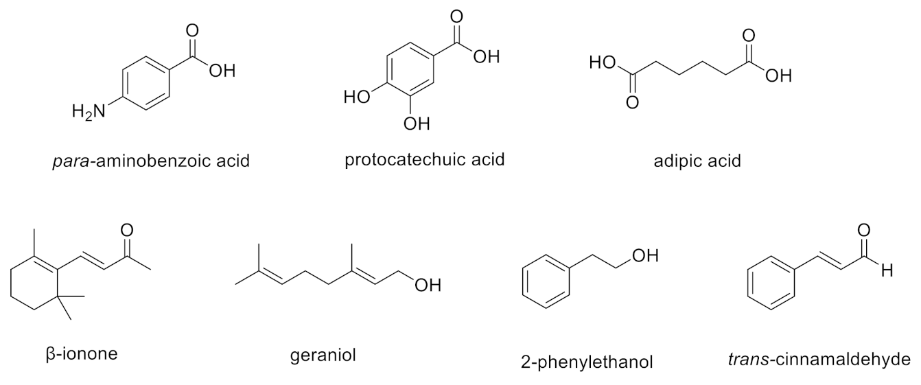 Fermentation 07 00026 g001