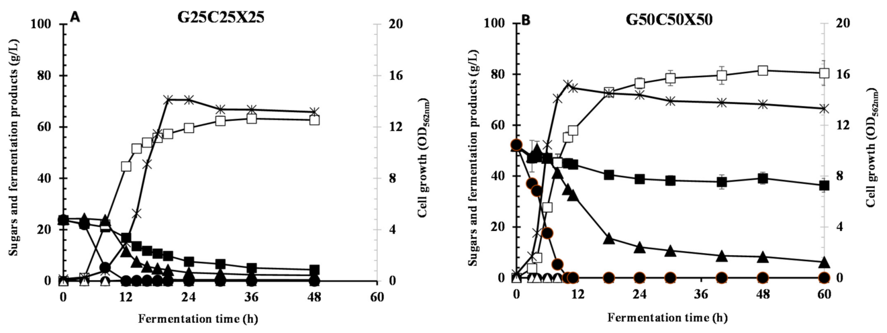 Fermentation 07 00028 g004