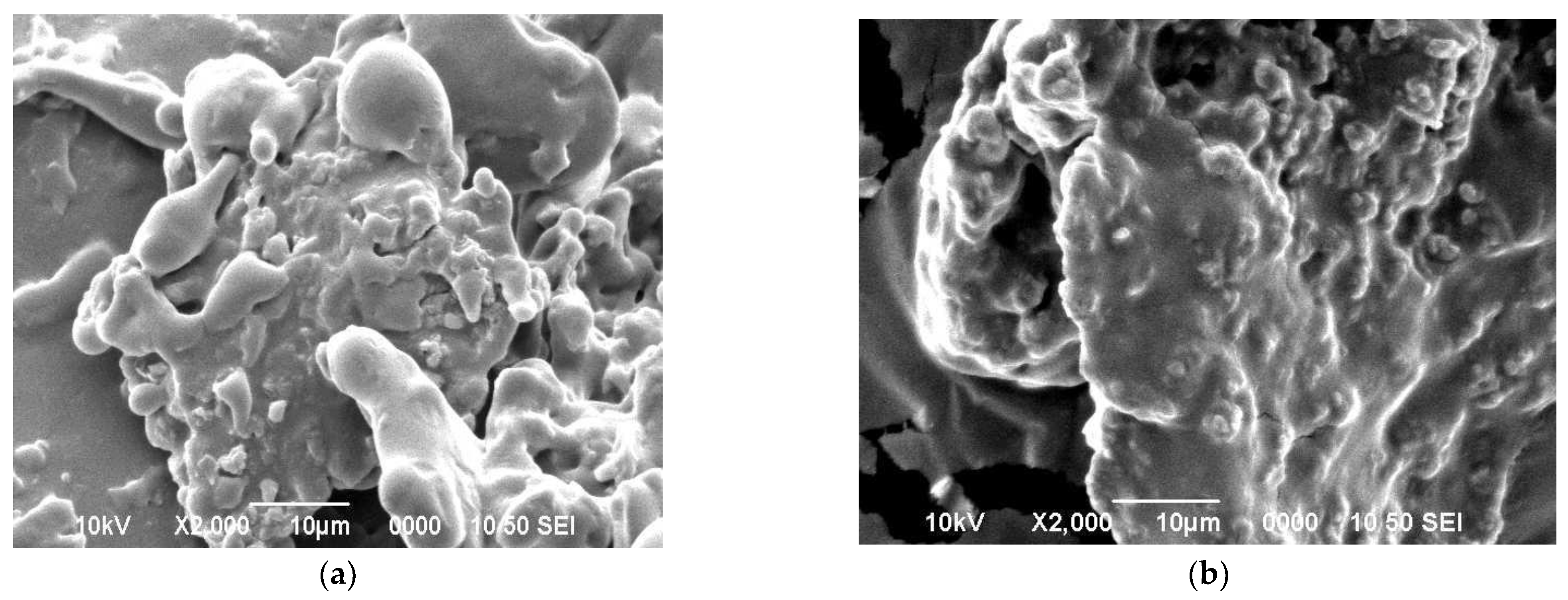 Fermentation 07 00033 g004 Fermentation 07 00033 g004