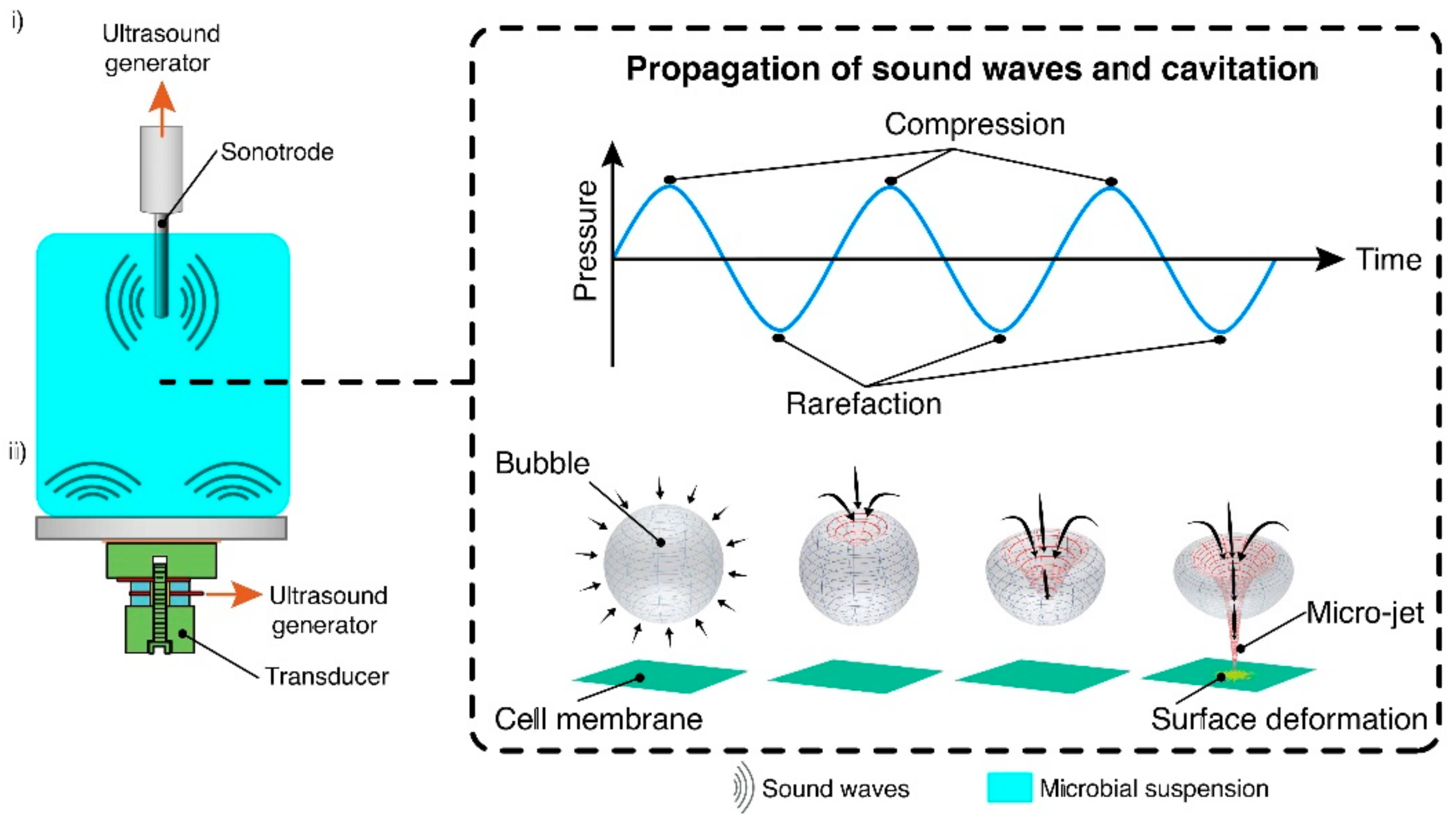 Fermentation 07 00036 g003 Fermentation 07 00036 g003