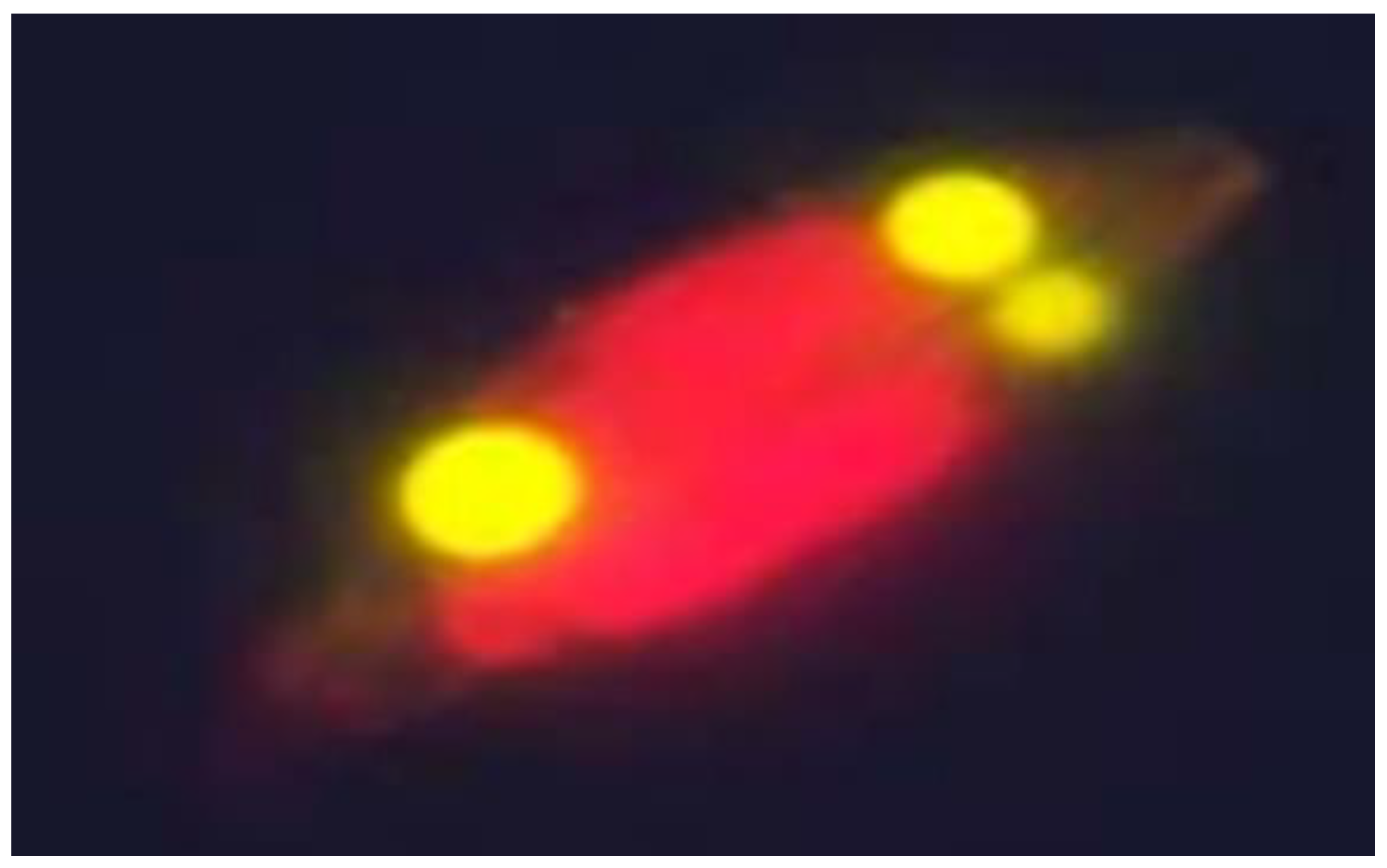 Fermentation 07 00037 g003