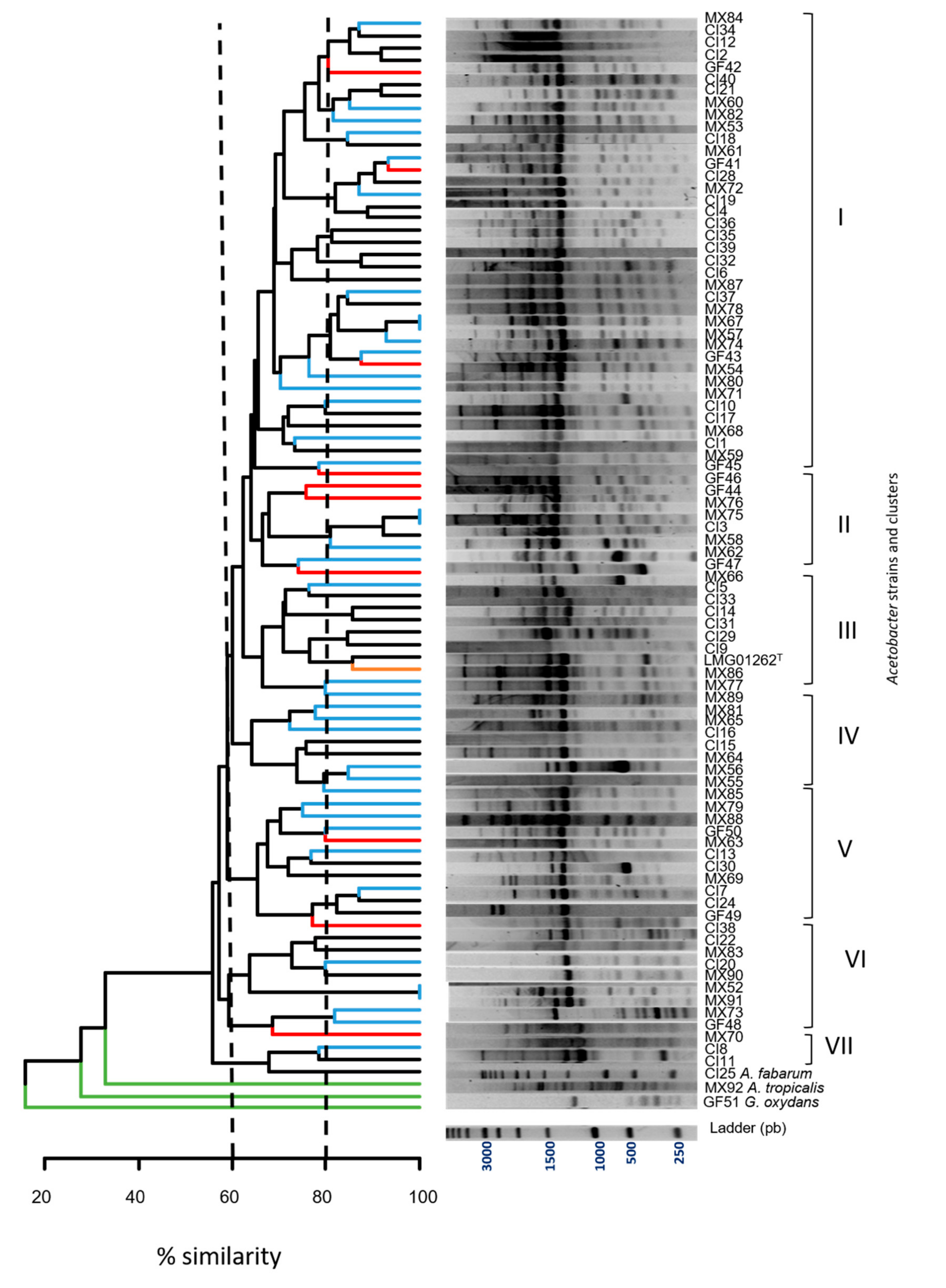Fermentation 07 00042 g003 Fermentation 07 00042 g003