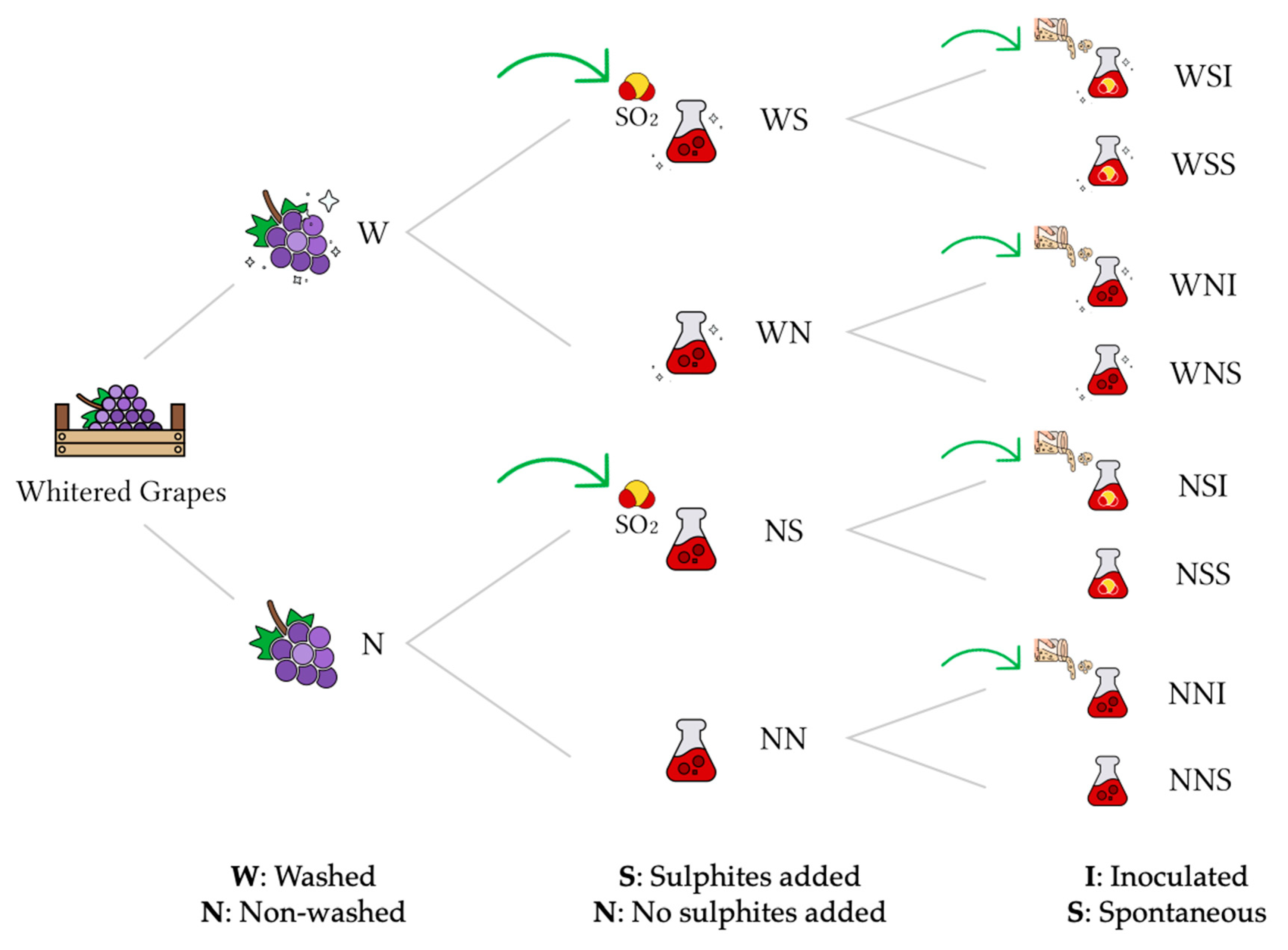 Fermentation 07 00043 g001 Fermentation 07 00043 g001