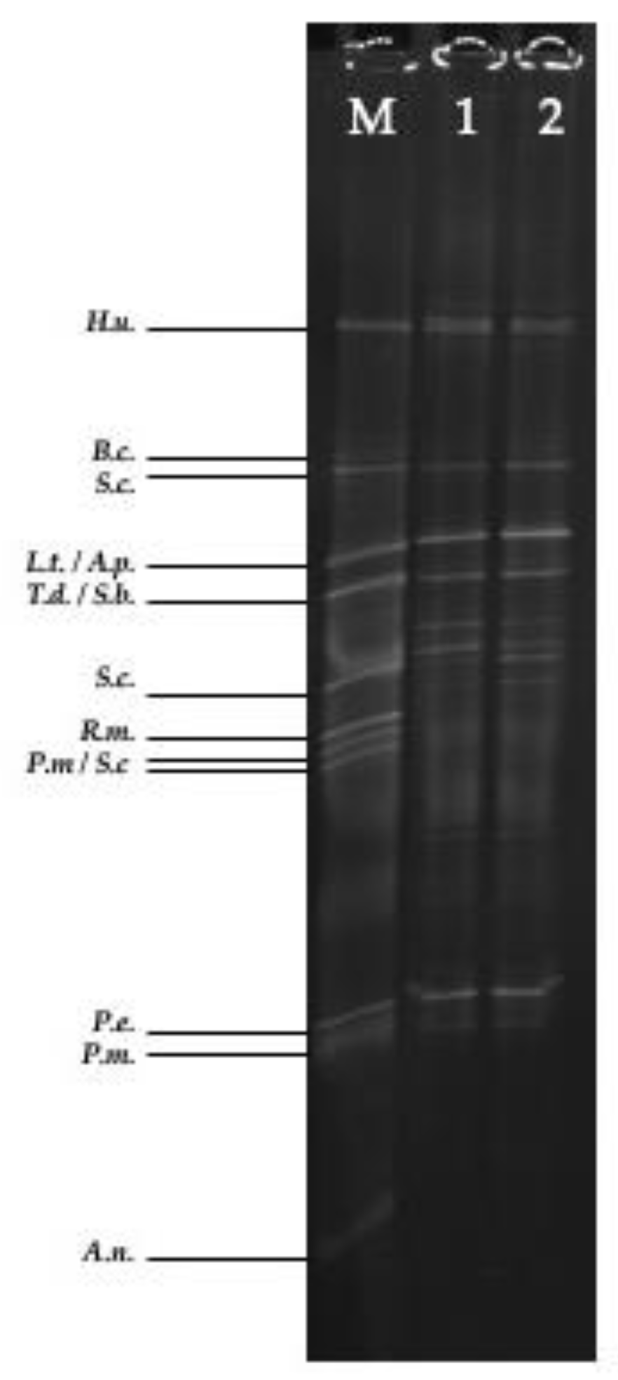Fermentation 07 00043 g002 Fermentation 07 00043 g002
