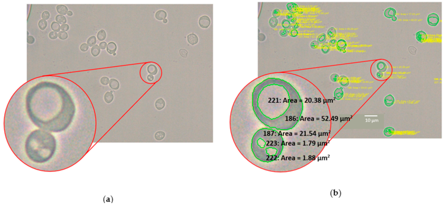 Fermentation 07 00044 g001 Fermentation 07 00044 g001